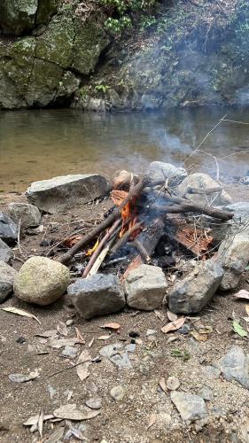 暖かくなってきましたね☀️