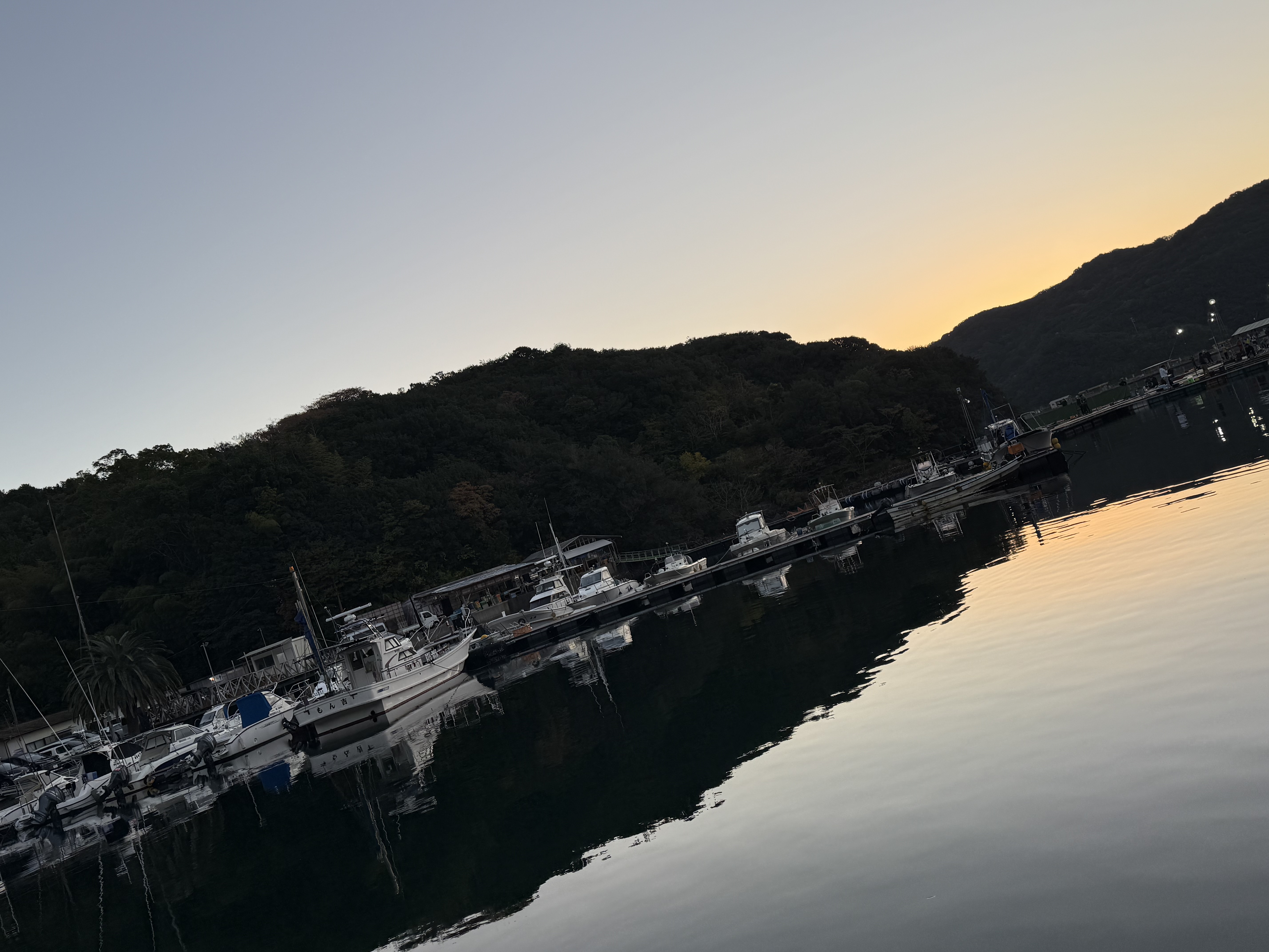 秋のドライブ前に知りたい愛車メンテナンスと洗車のポイント🚗✨