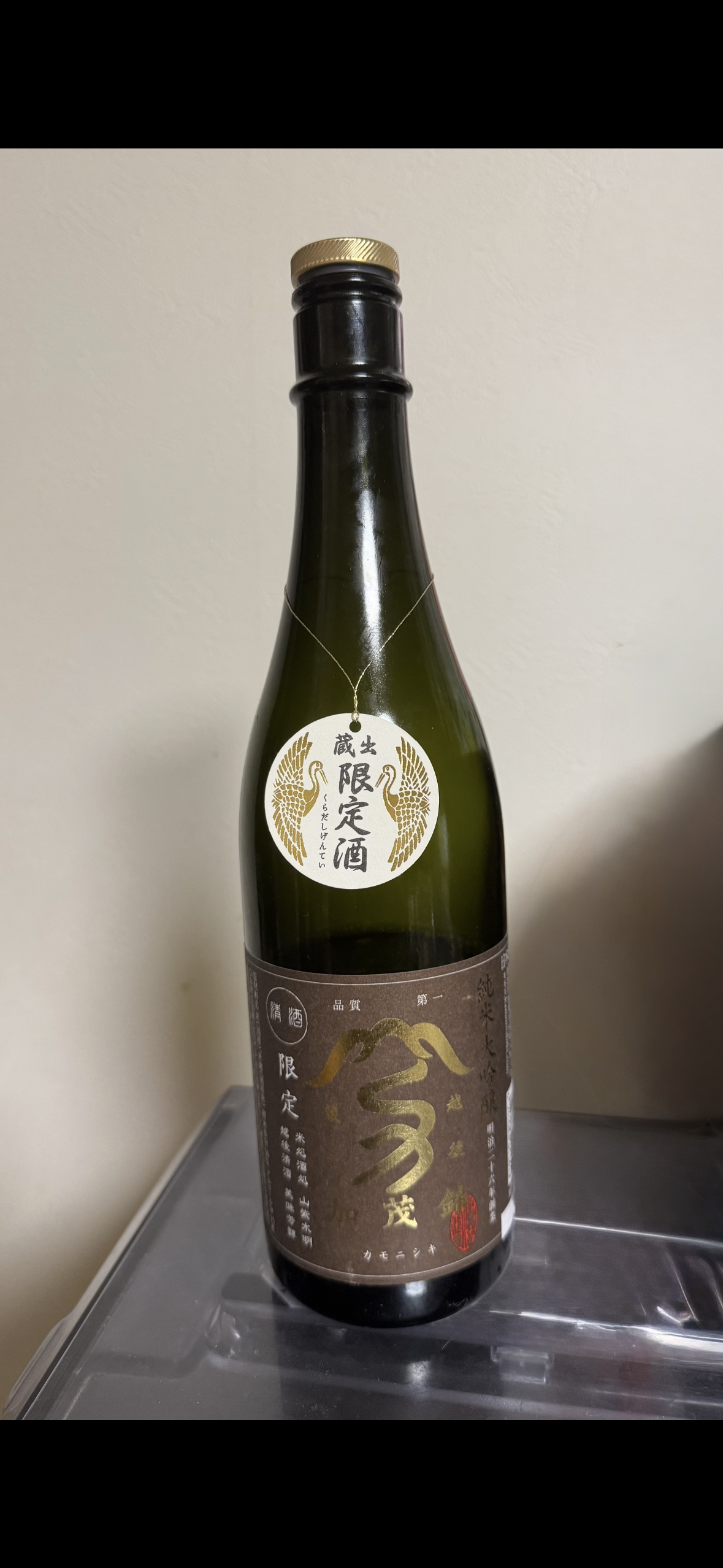 2026年がスタートしました🐴