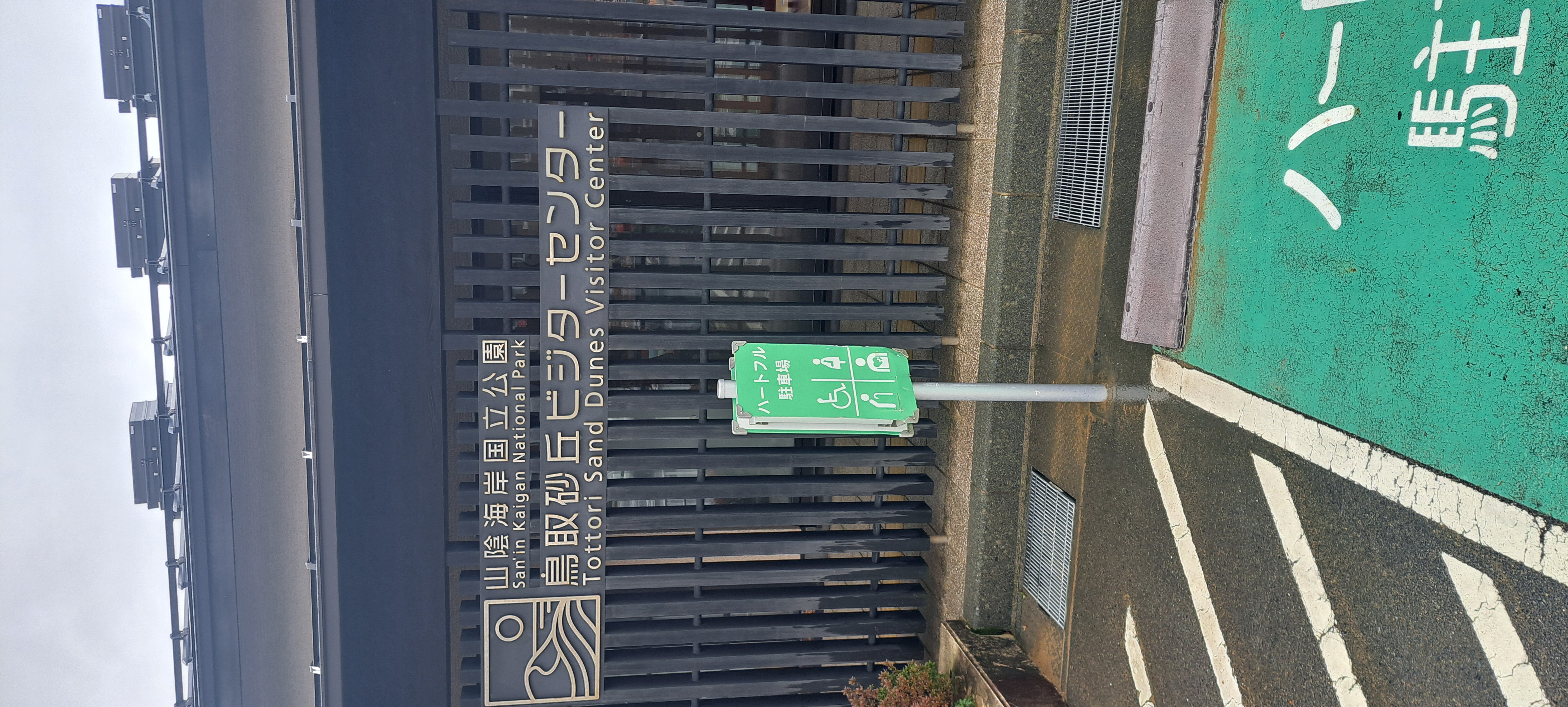 雨の日も安心安全にドライブ 春の車メンテナンスポイント🚗