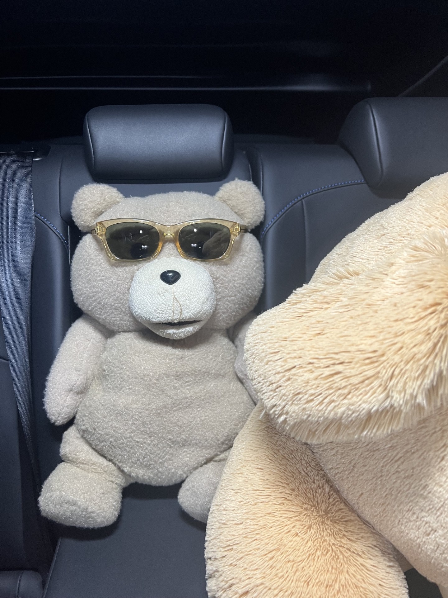 春の車メンテナンスとほっこりくまのぬいぐるみ話🧸栗東ひがしTSから