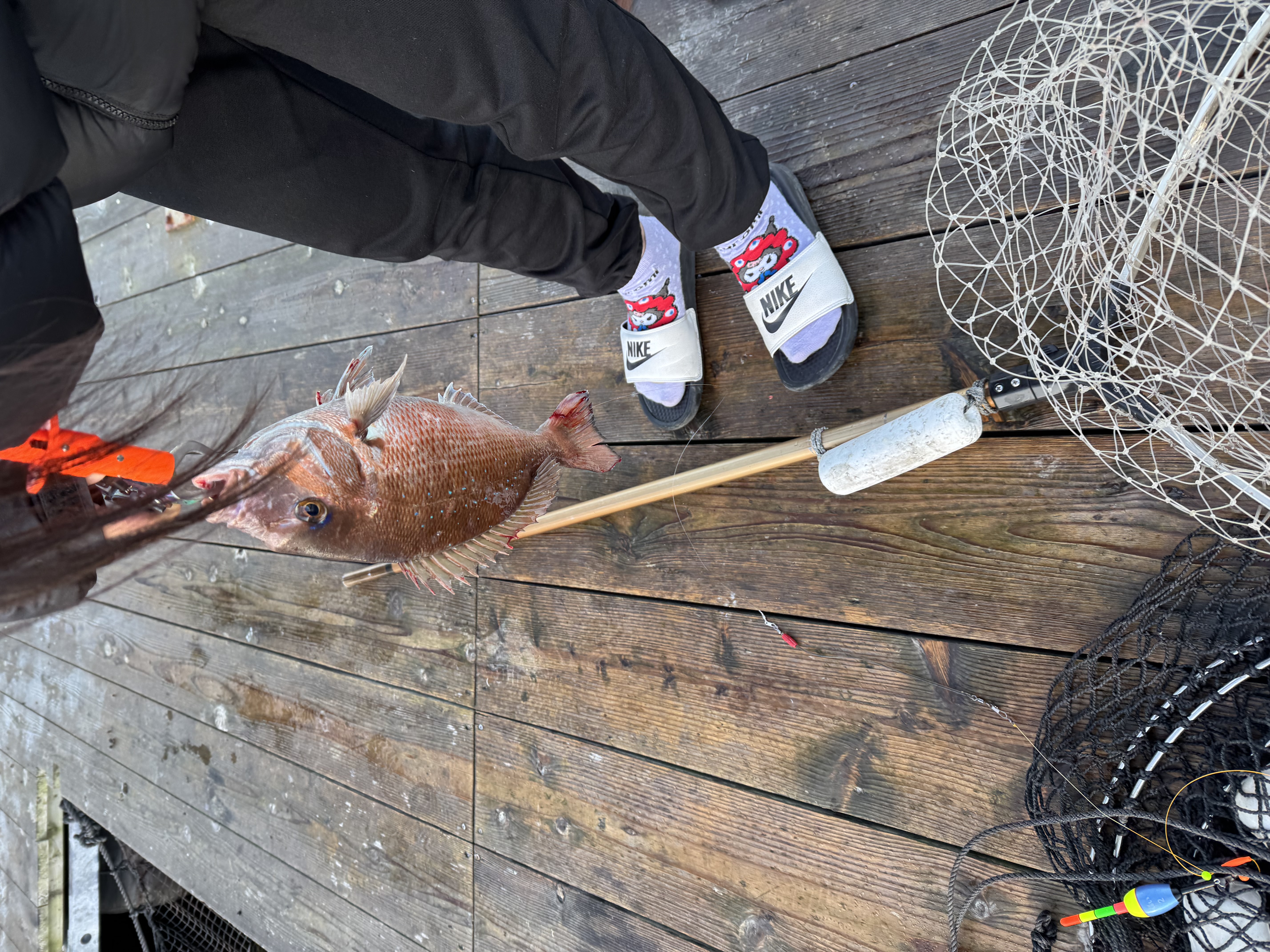 関西栗東ひがしTSで楽しむお魚釣り＆冬の車ケアポイント🎣