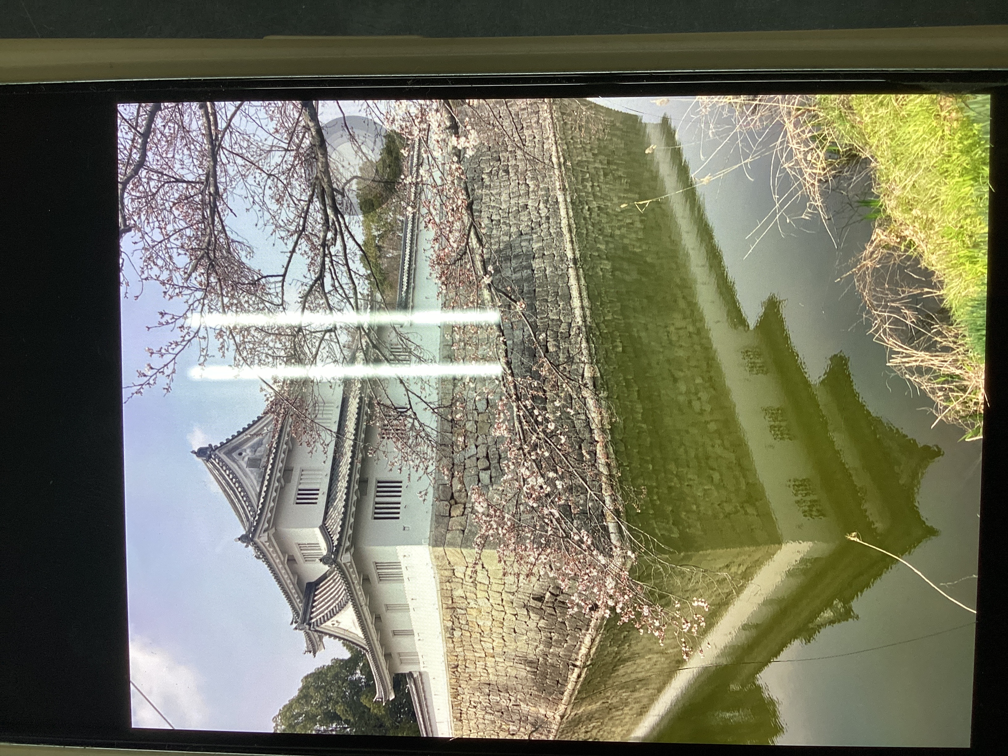 春のドライブ前にチェックしたい愛車メンテナンスポイント🌸安全快適に出発しよう