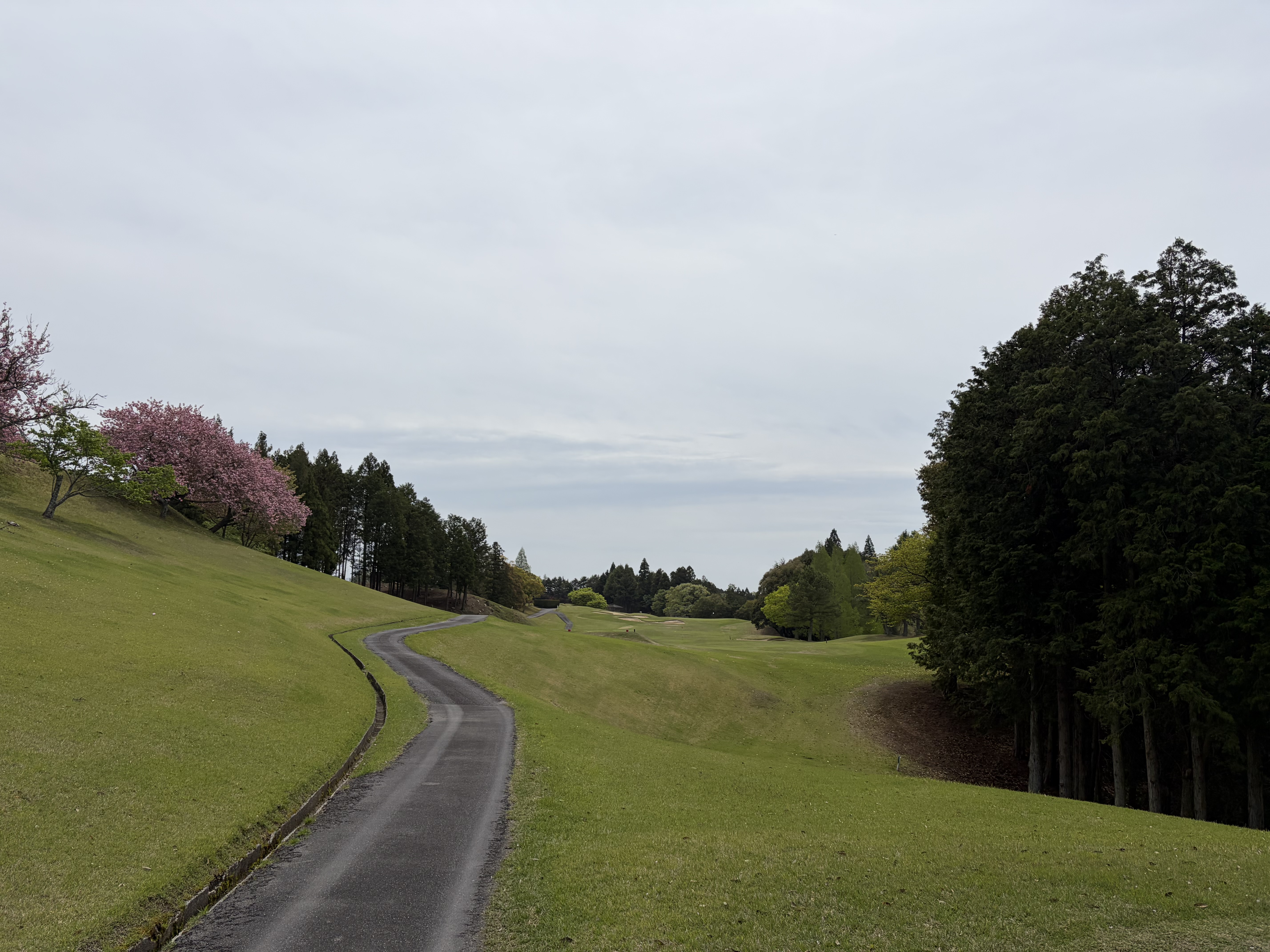 春のドライブ前にチェックしたい車のメンテナンスポイント🚗名神八日市インターTSで安心サポート