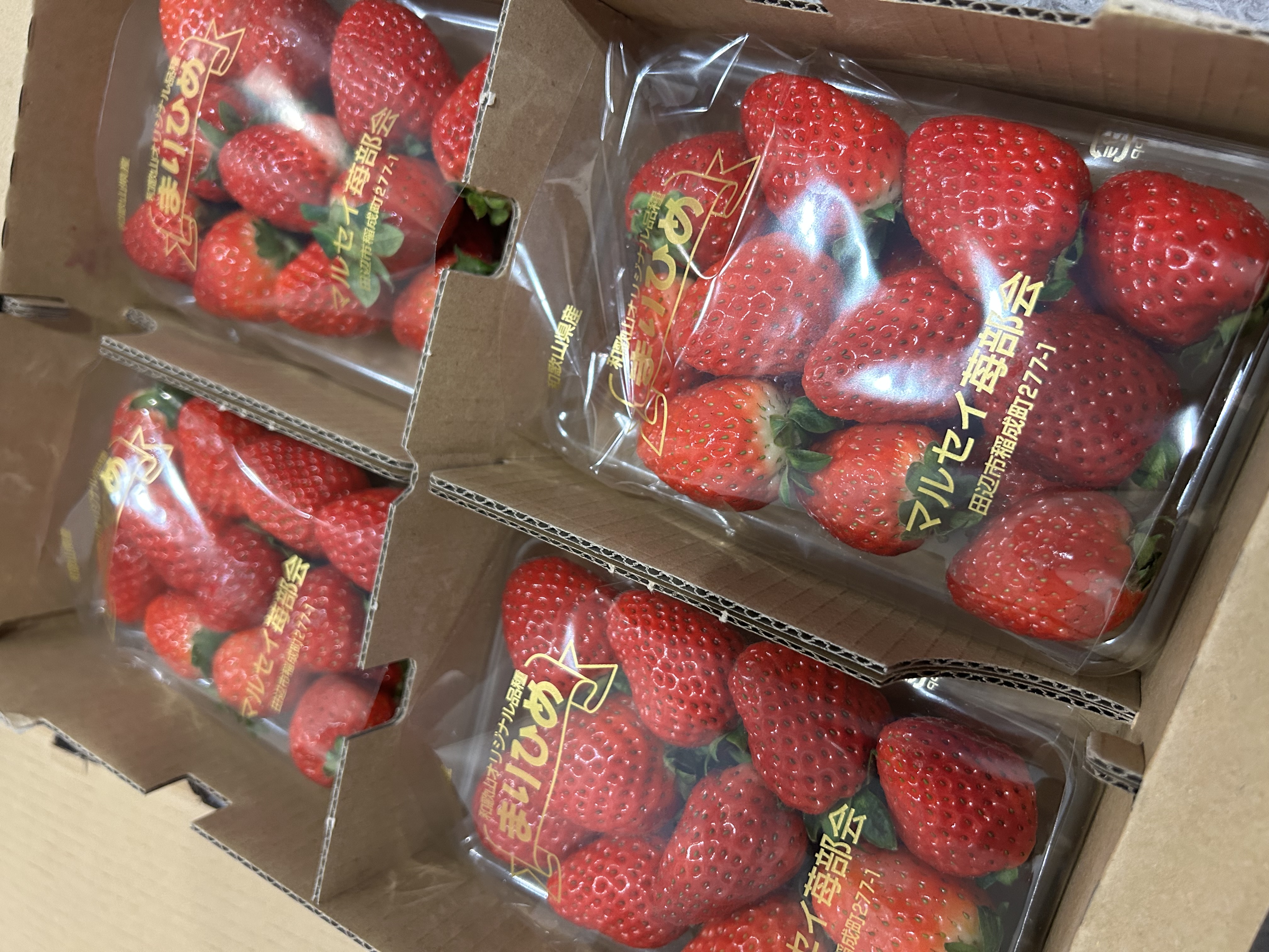 冬のカーライフ応援 名神八日市インターTSの洗車と点検サービス🍓