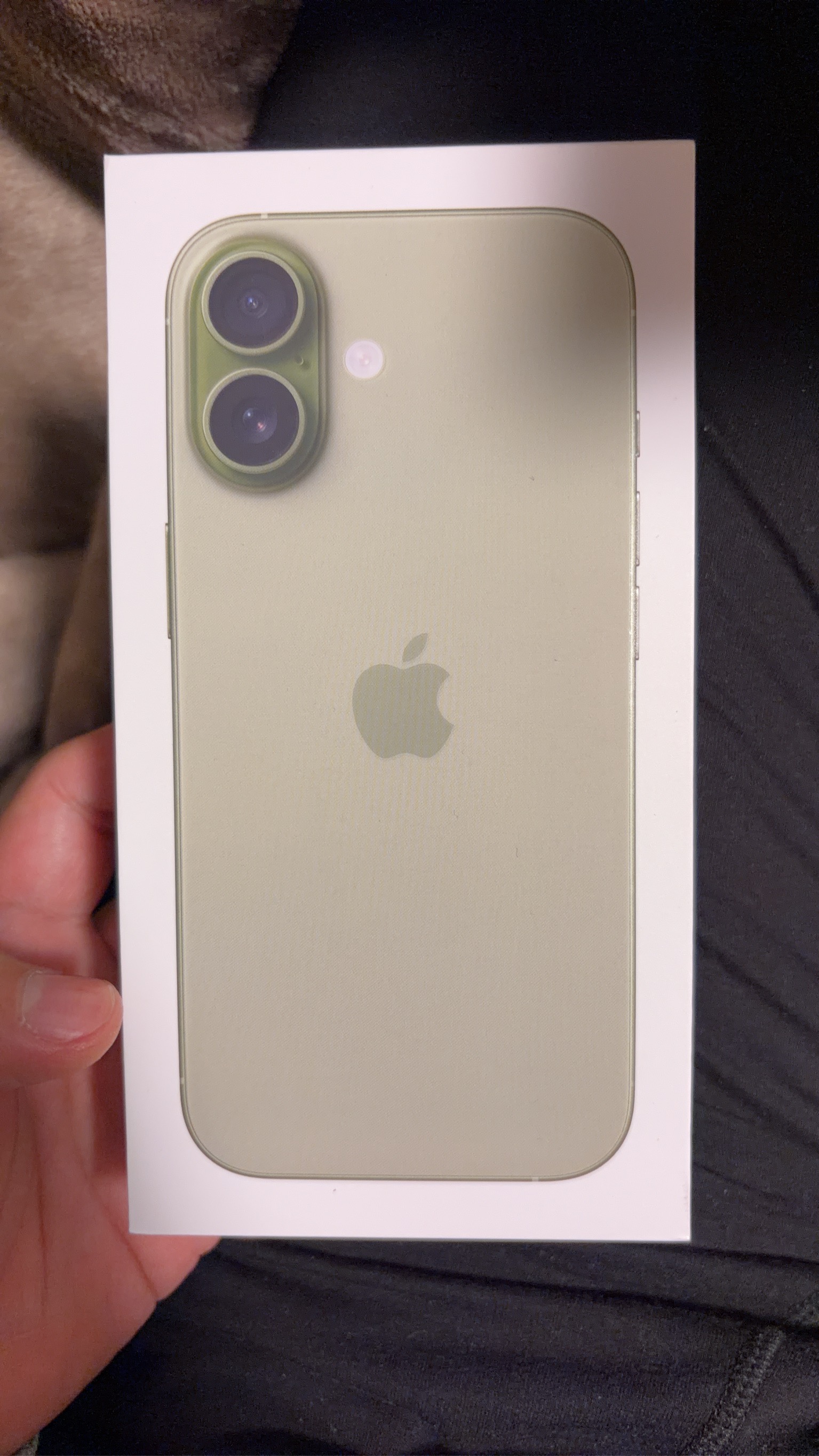 冬の車メンテナンスは名神八日市インターTSで無料点検を🚗❄️