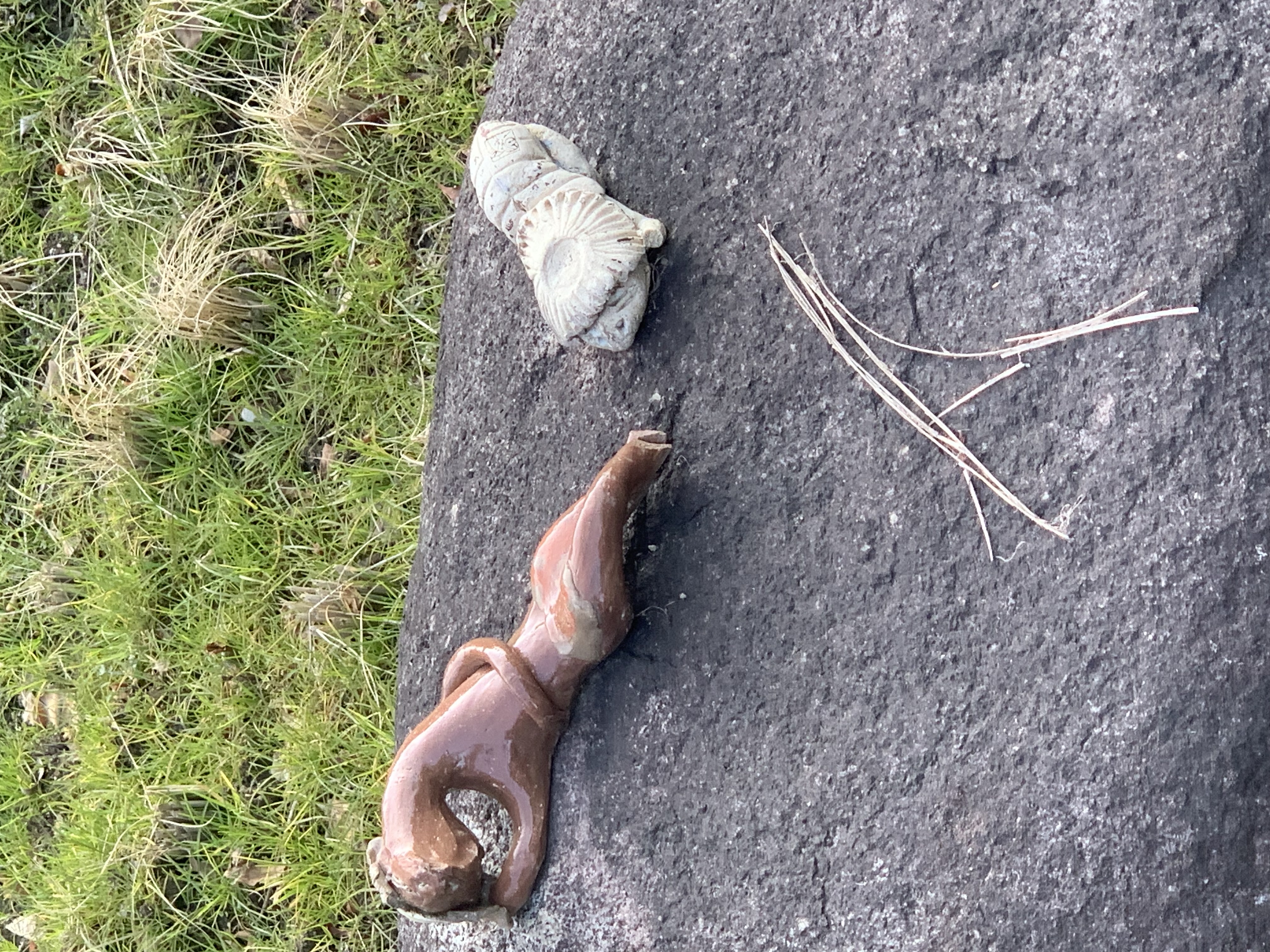 冬の夜道も安心ヘッドライト磨きで視界スッキリに🚗