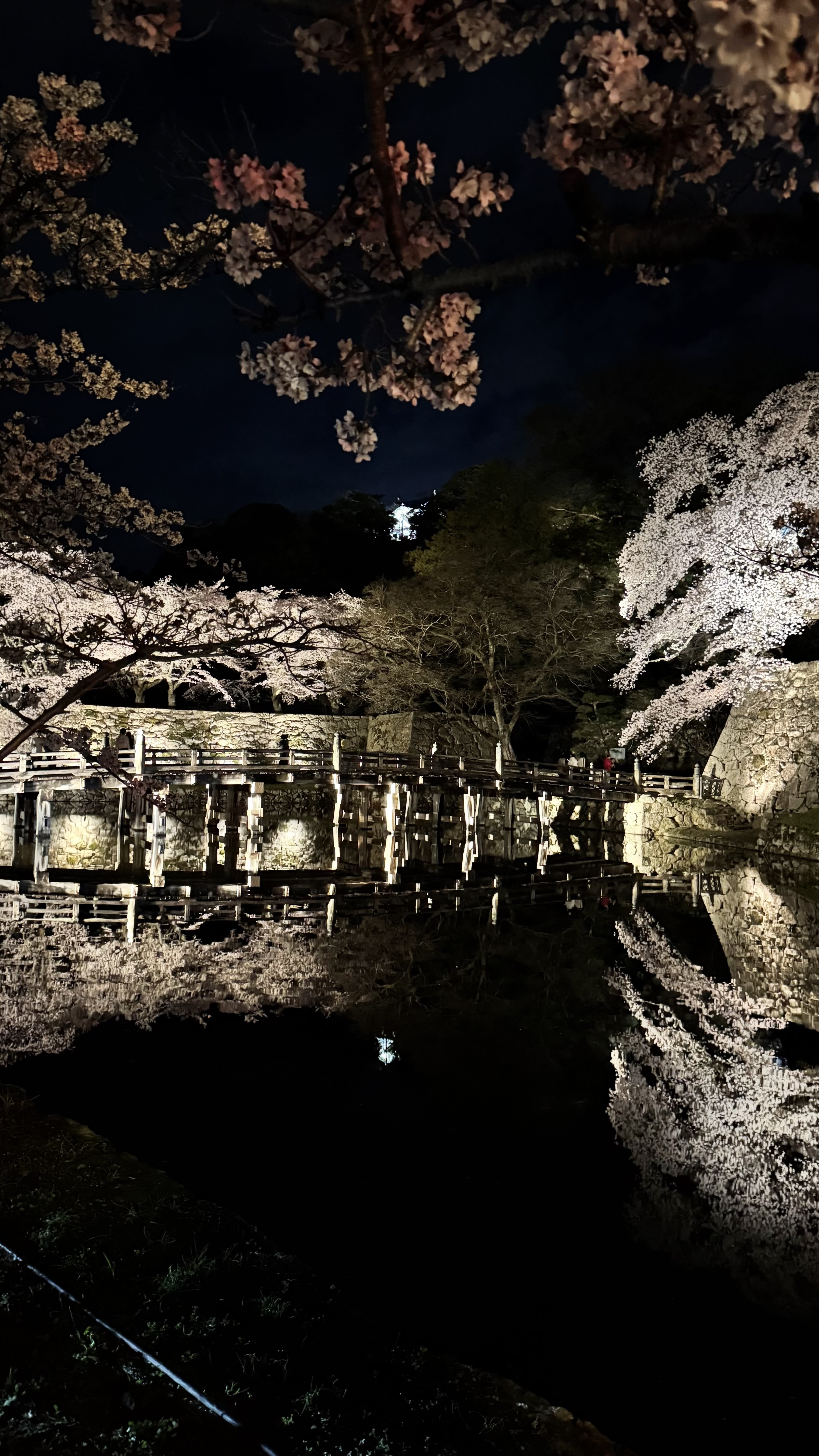 春のドライブ前におすすめ名神八日市インターTSのホイールコーティング🌸