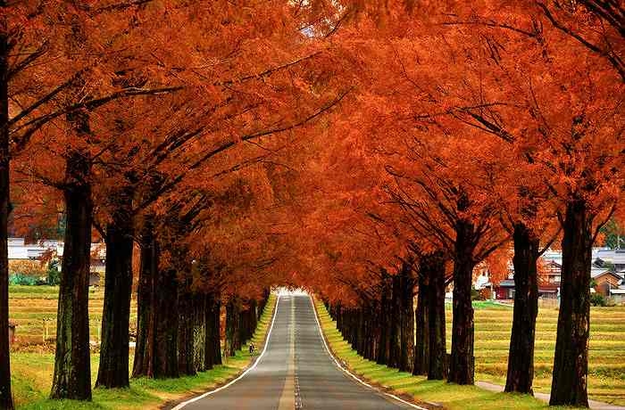 秋のドライブ前におすすめ手洗い洗車と安心点検サービス🚗✨