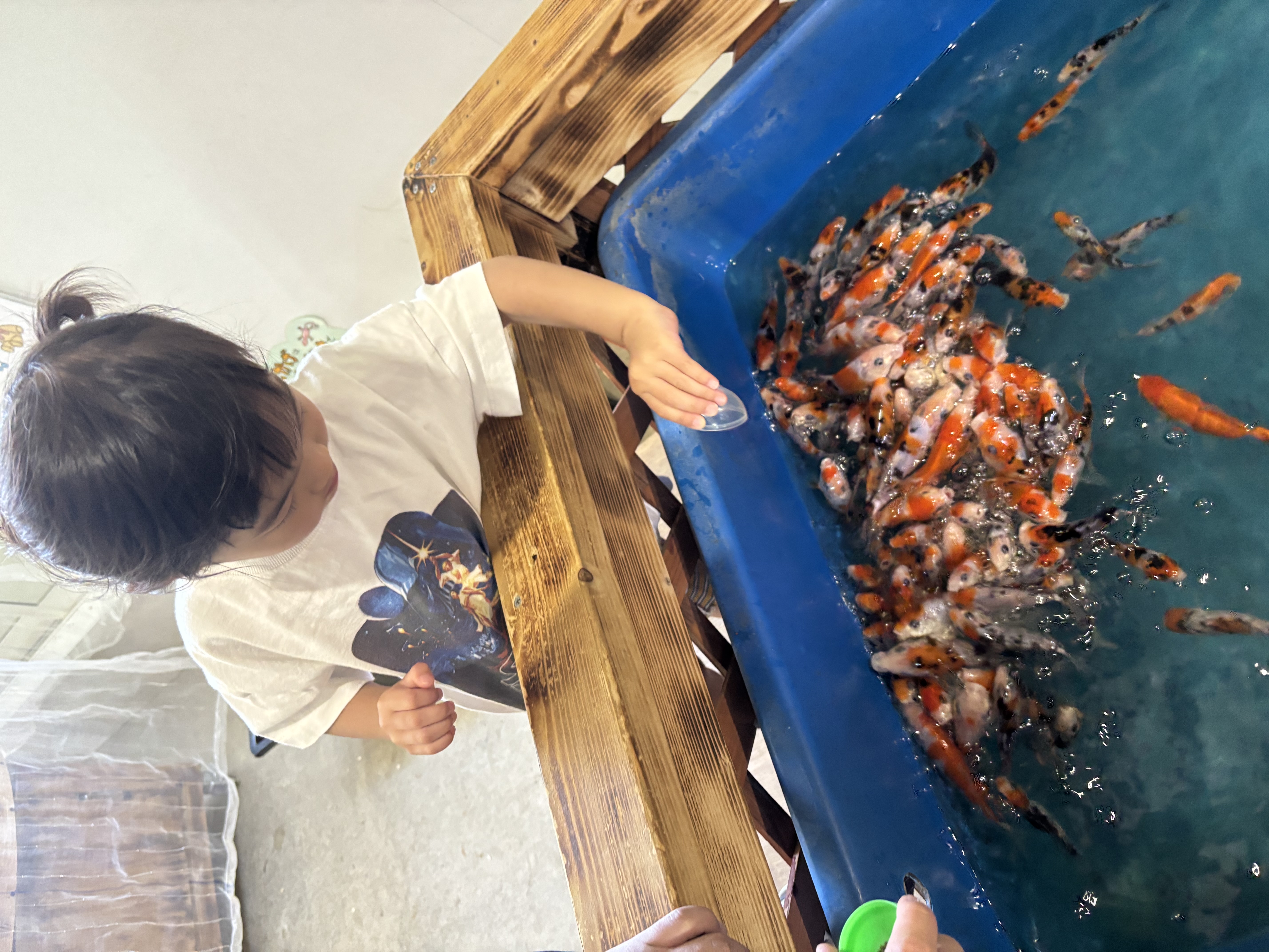名神八日市インターTSで春の車メンテと楽しい金魚すくい体験🐟