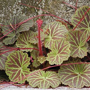 春のタイヤ交換と車メンテナンスで快適ドライブを応援🚗