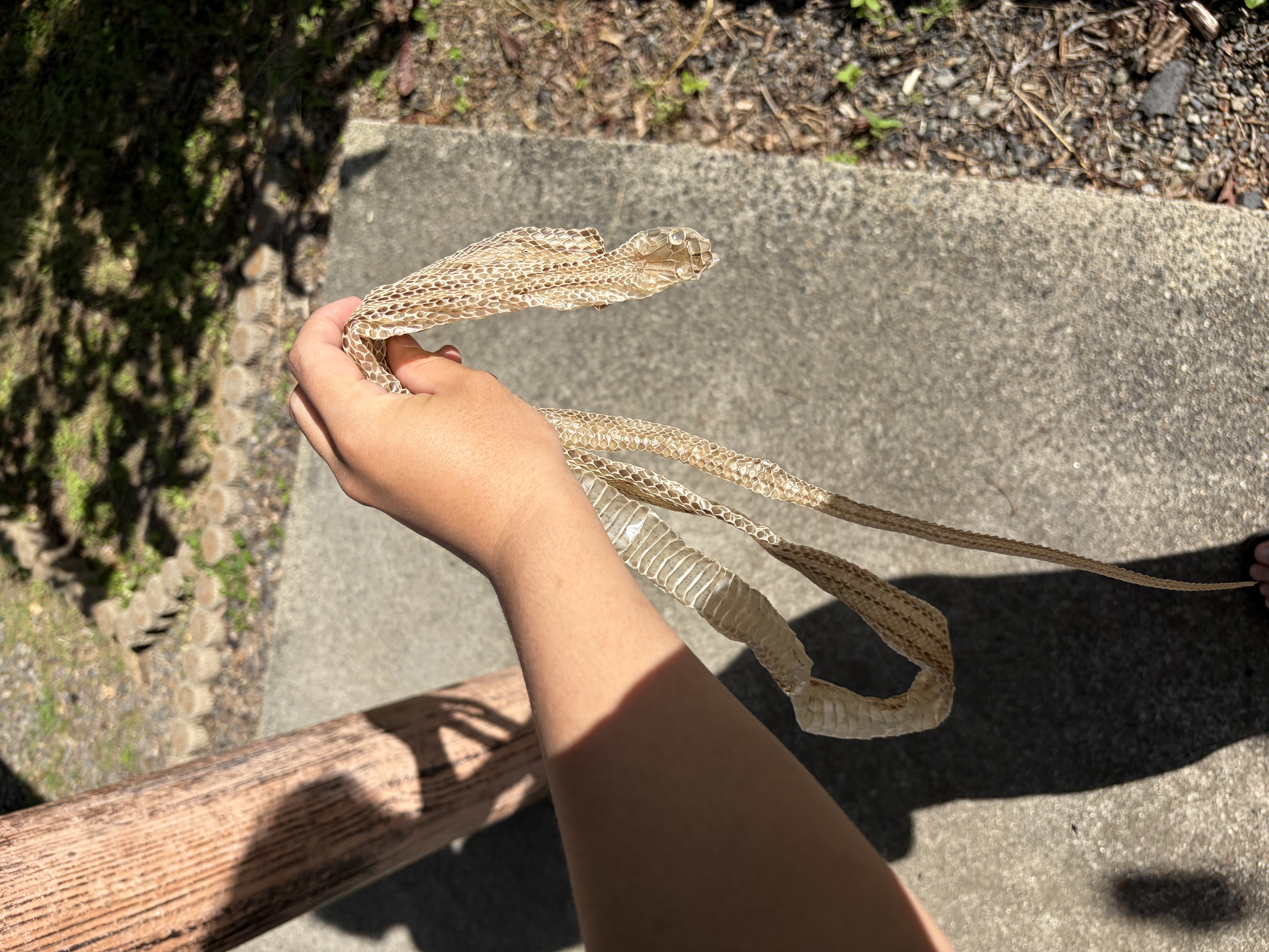 名神八日市インターTSで夏前にチェックしたい車の点検ポイント🐍