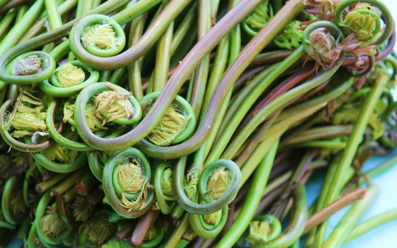 春の快適ドライブ応援 エアコン点検キャンペーンと車メンテナンス🚗