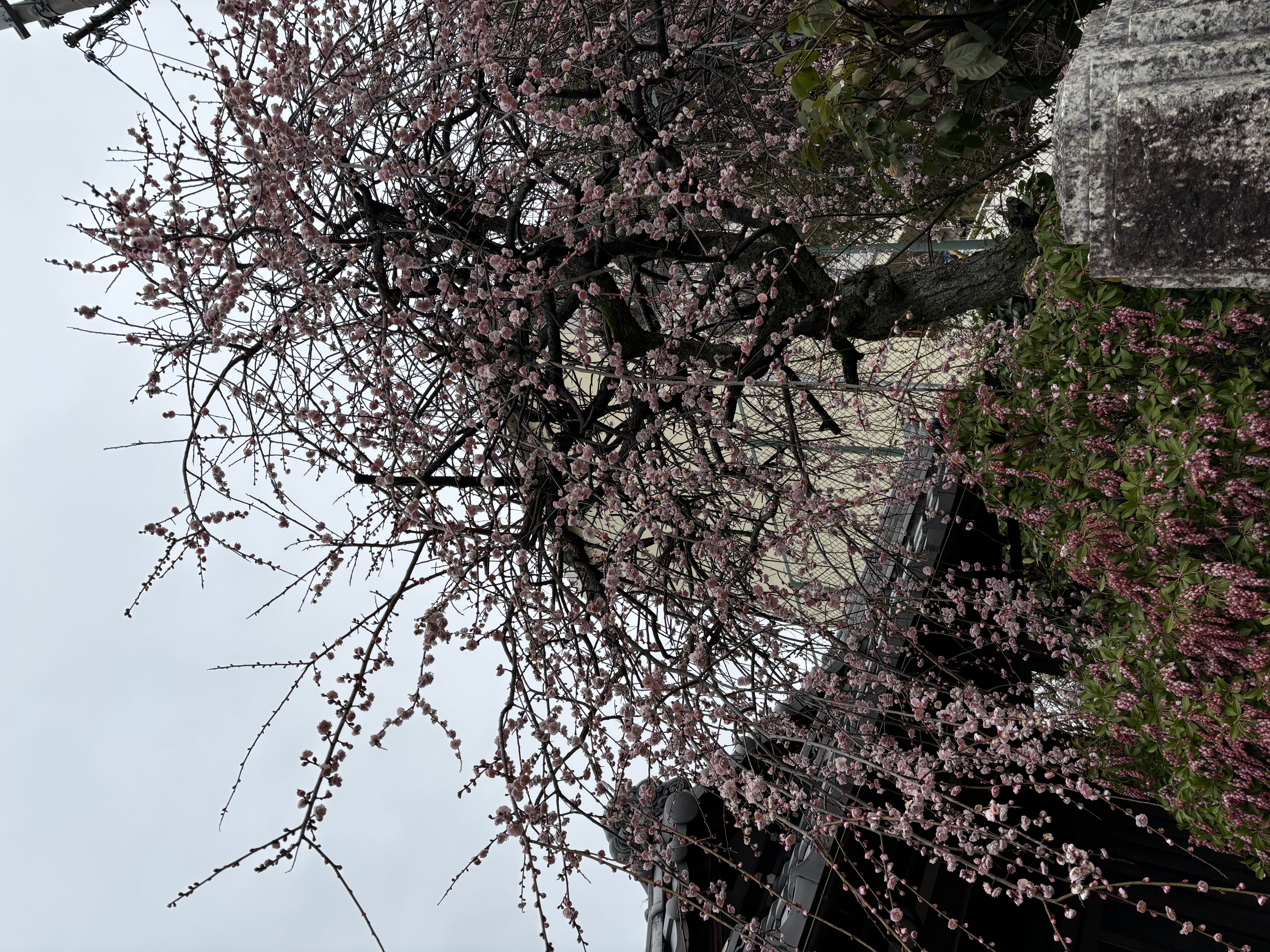 春の車メンテナンスポイントと名神八日市インターTSの3月限定サービス🚗