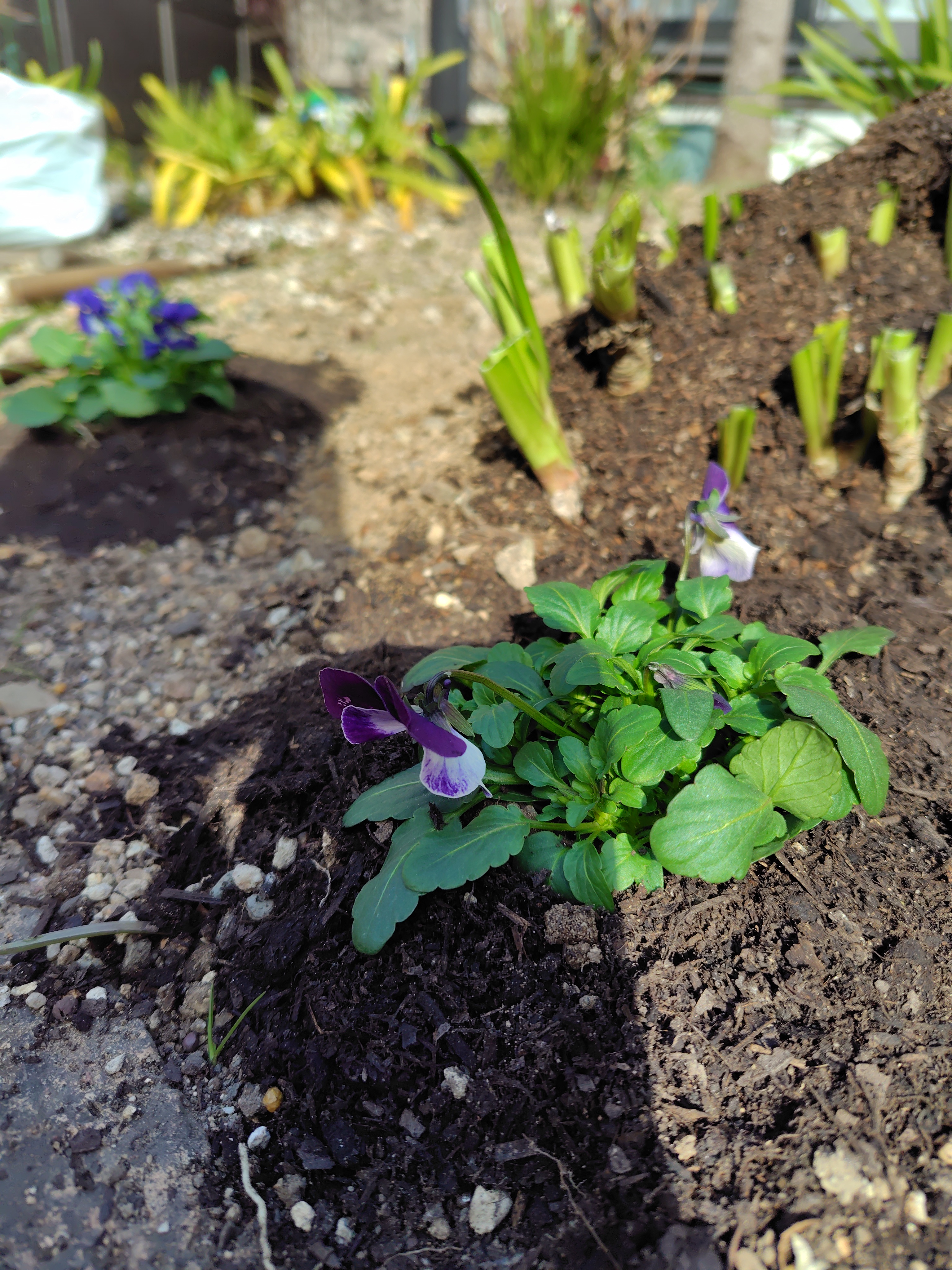 手洗い洗車キャンペーン実施中