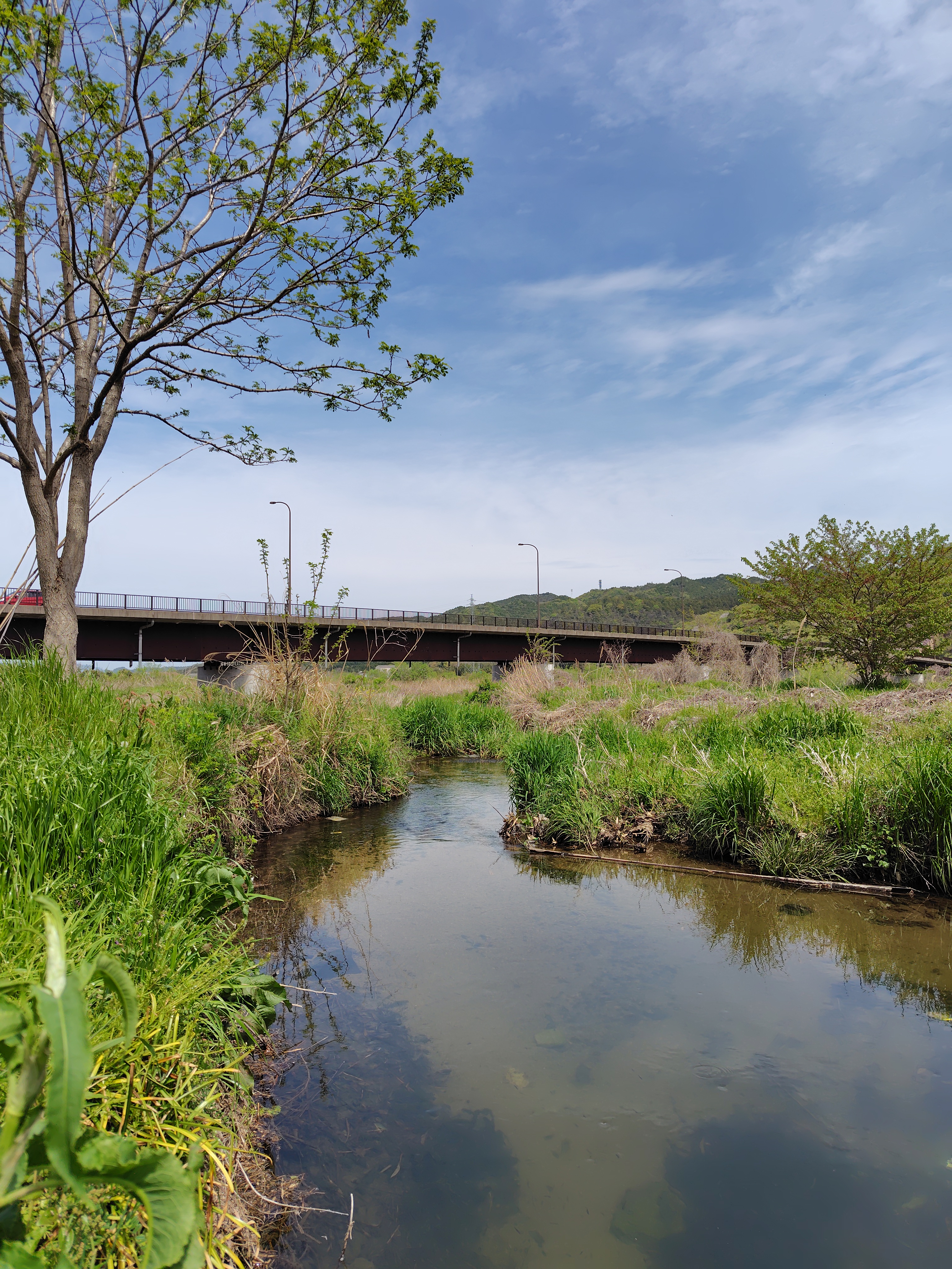 春の栗東TSで手洗い洗車＆オイル交換30%OFFキャンペーン開催中🚗✨