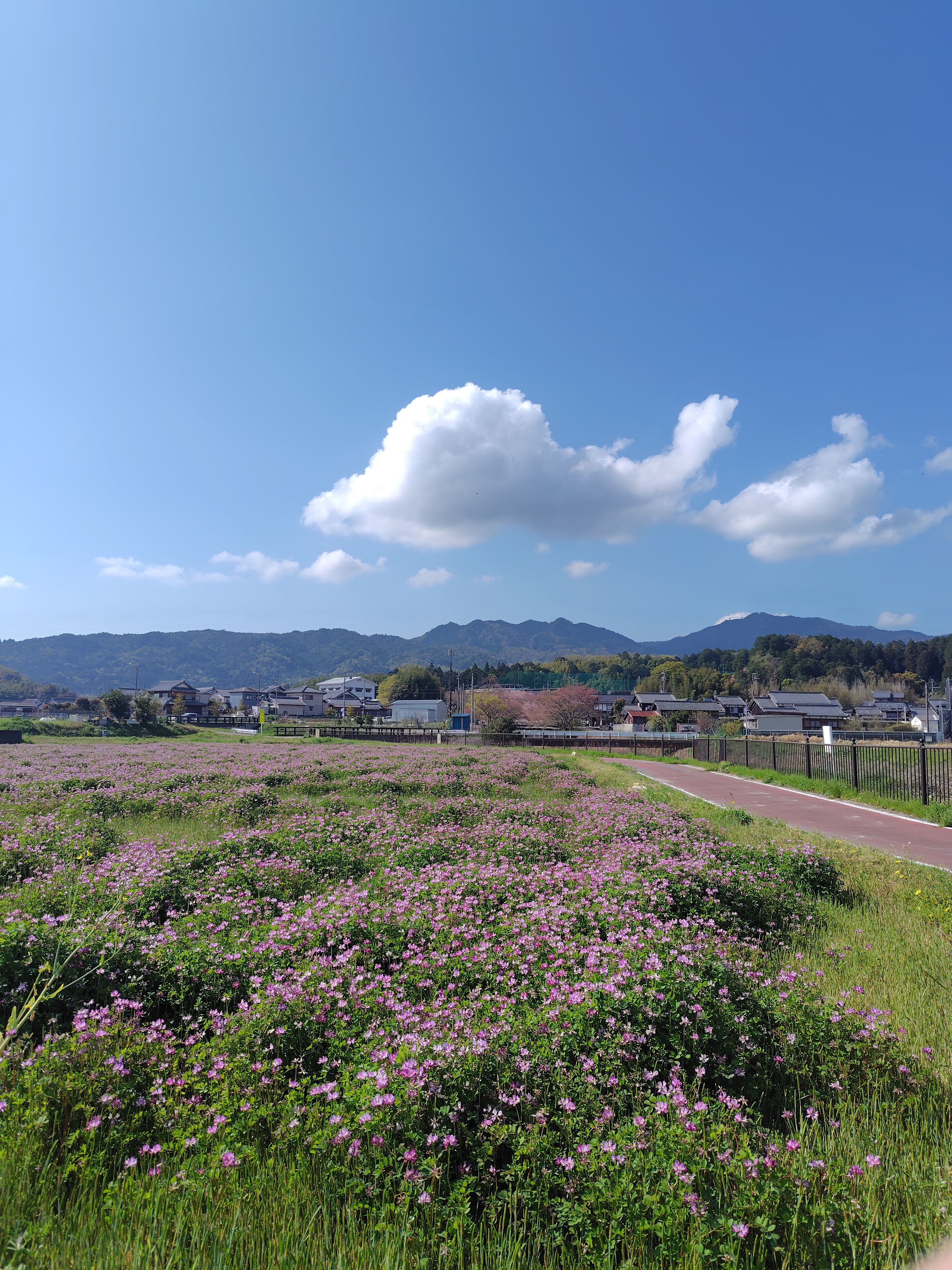 春の花粉対策におすすめ手洗い洗車とタイヤ点検キャンペーン情報🚗