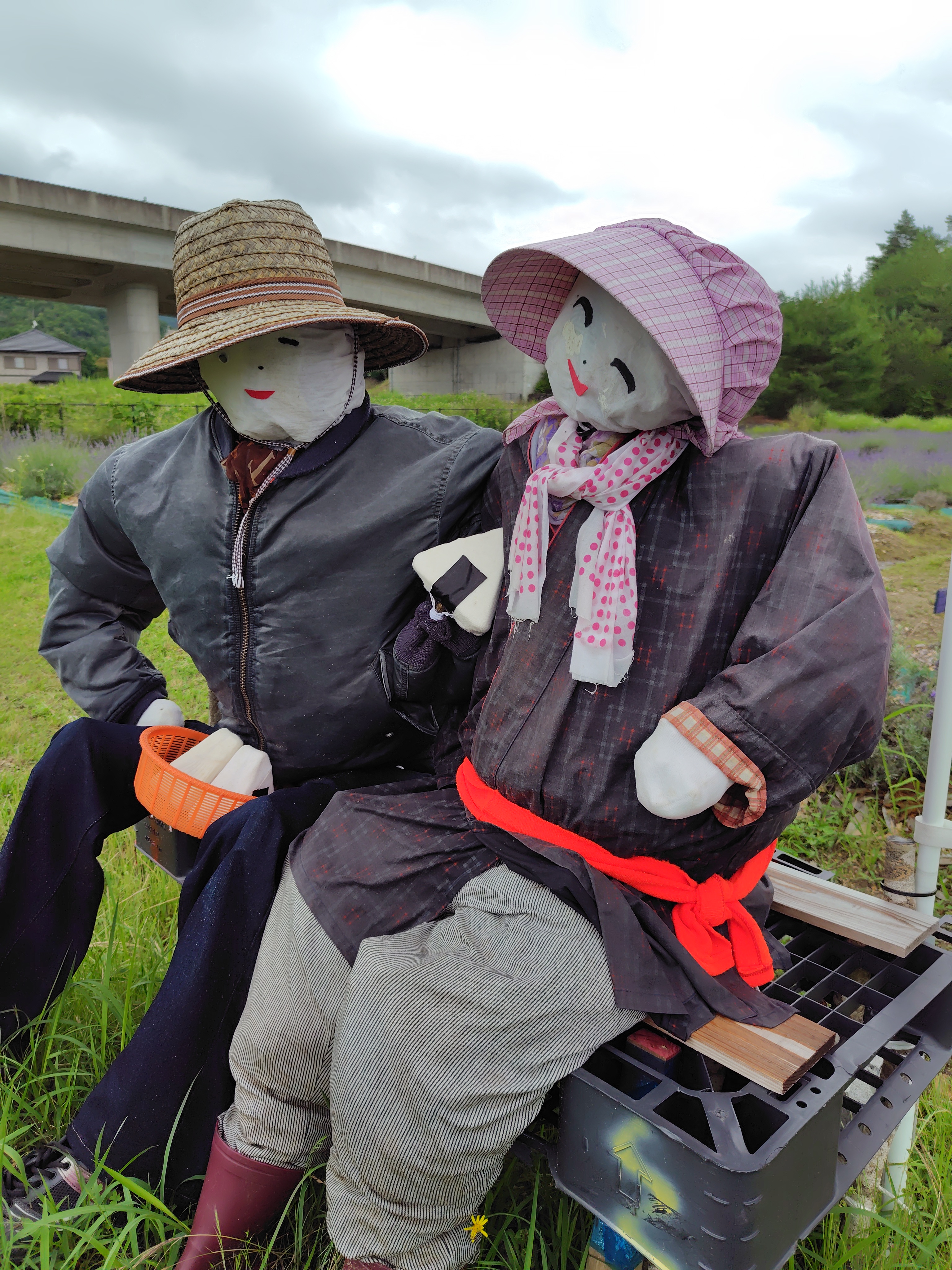 競馬輸送車も来店！栗東TSの手洗い洗車キャンペーン開催中🚗✨
