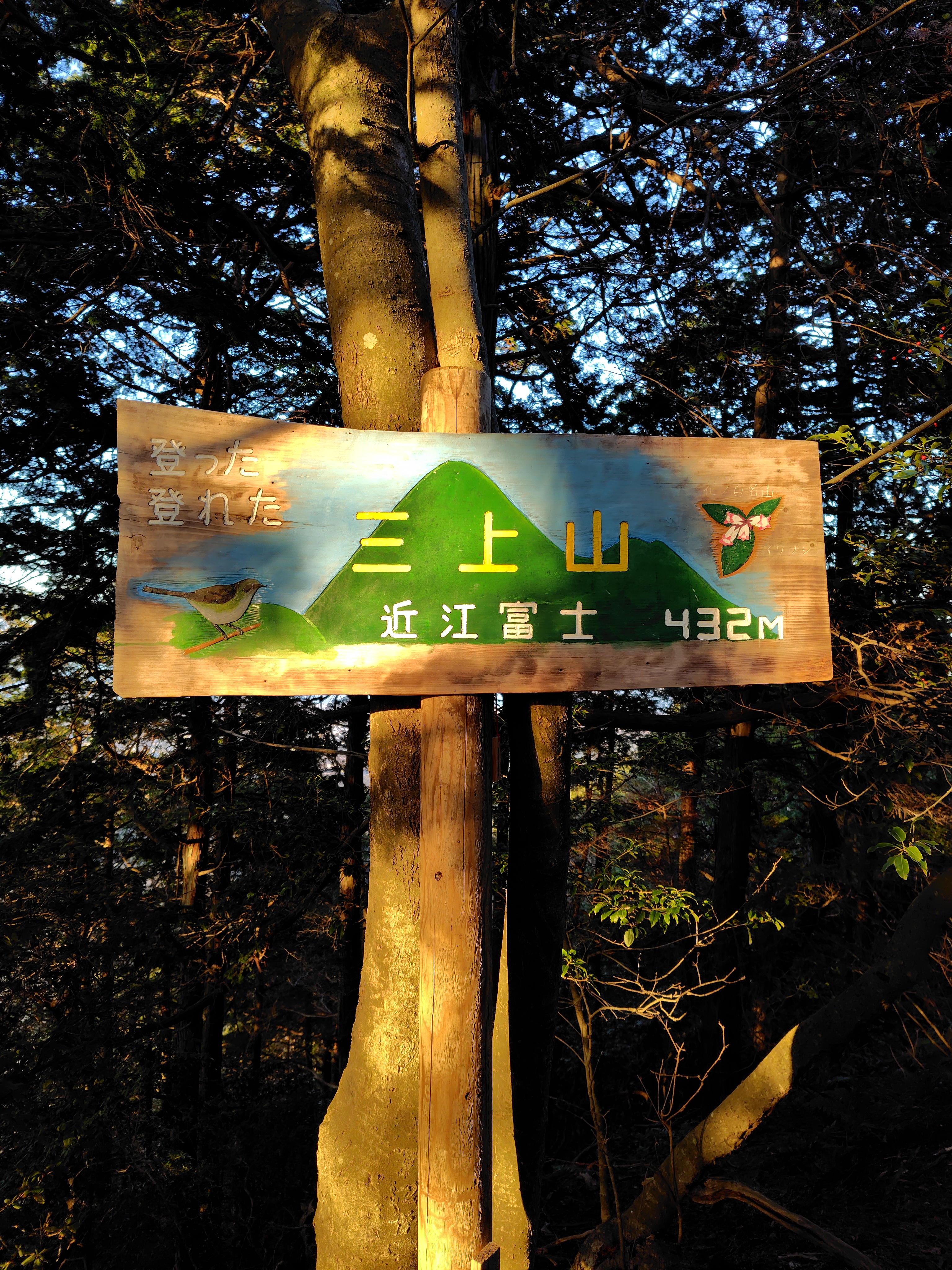 冬のカーケアポイントと栗東TSの安心メンテナンス情報🚗⛄