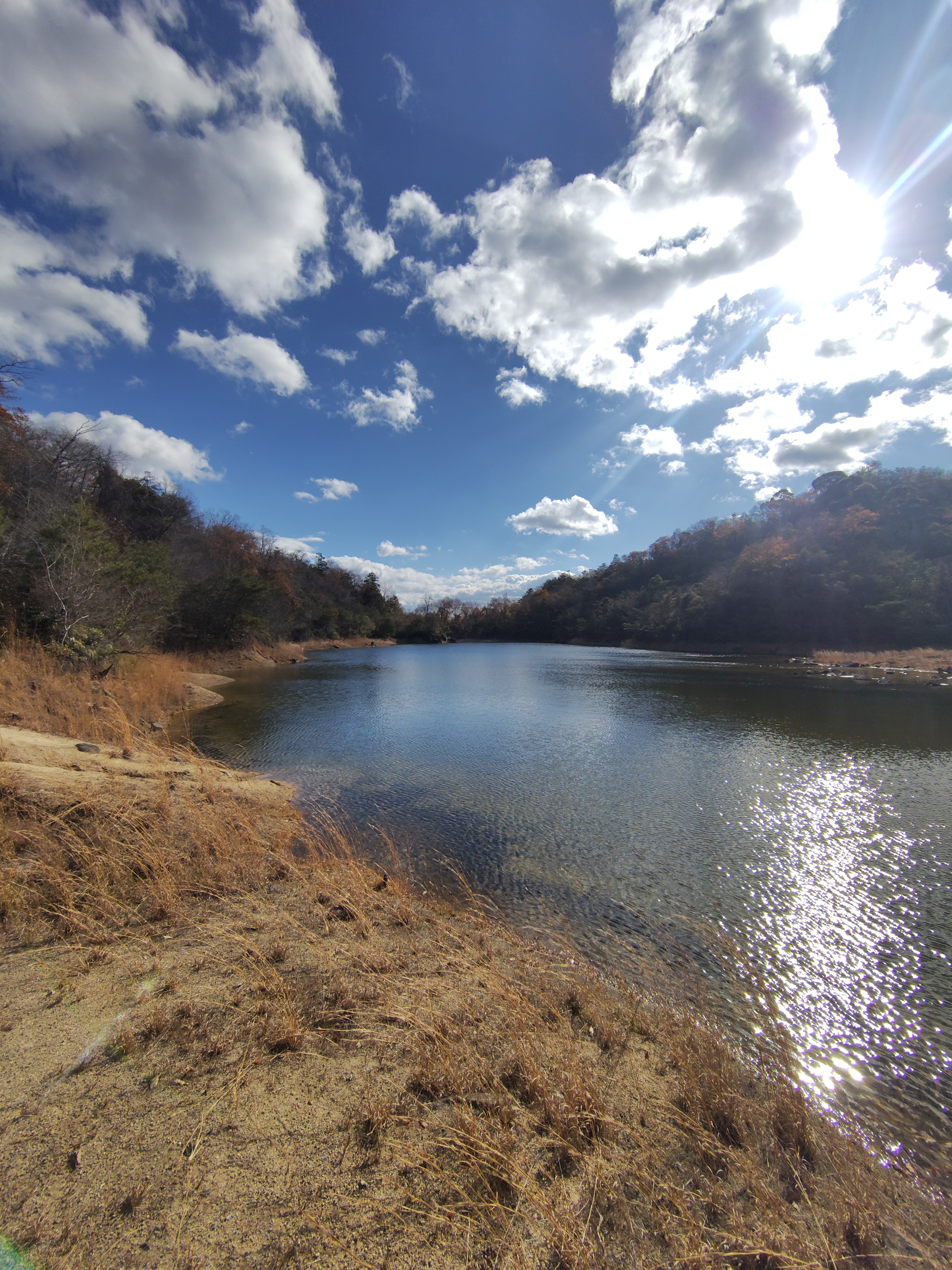 １０日までオイル交換３０％引きです