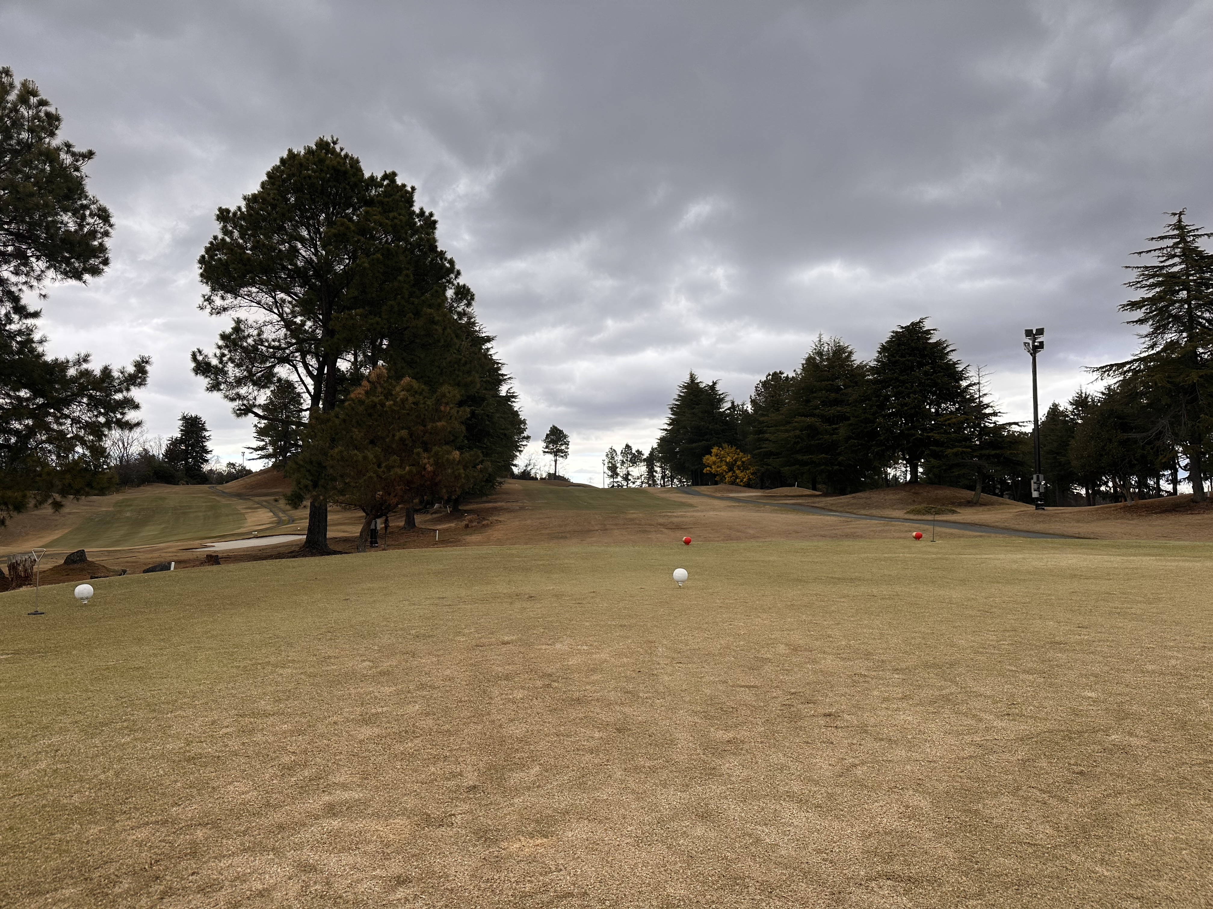 春のタイヤ交換と車点検のポイント安全運転を支える秘訣🚗
