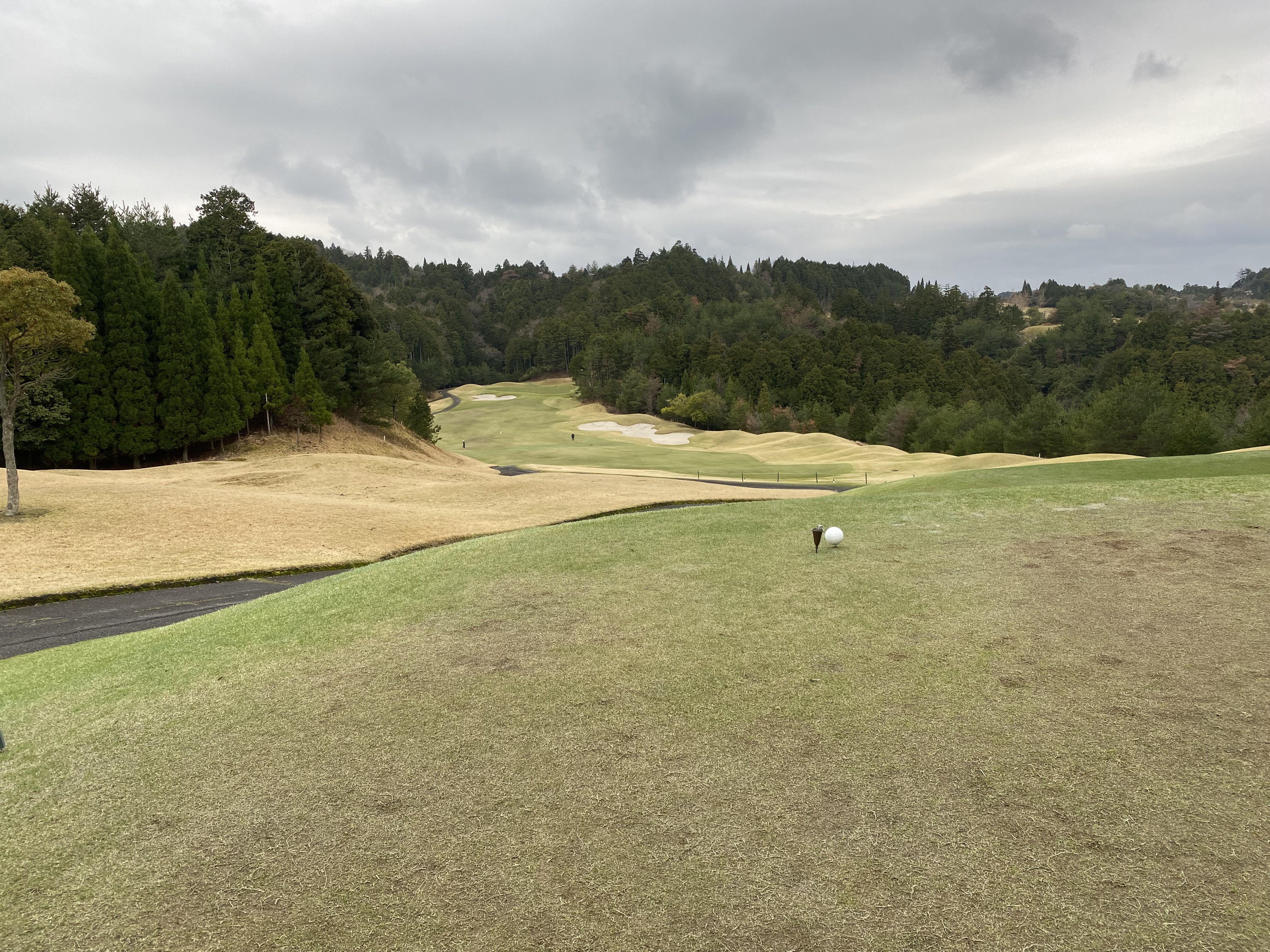 春の花粉対策もばっちり 車ピカピカ手洗い洗車キャンペーン⛳️