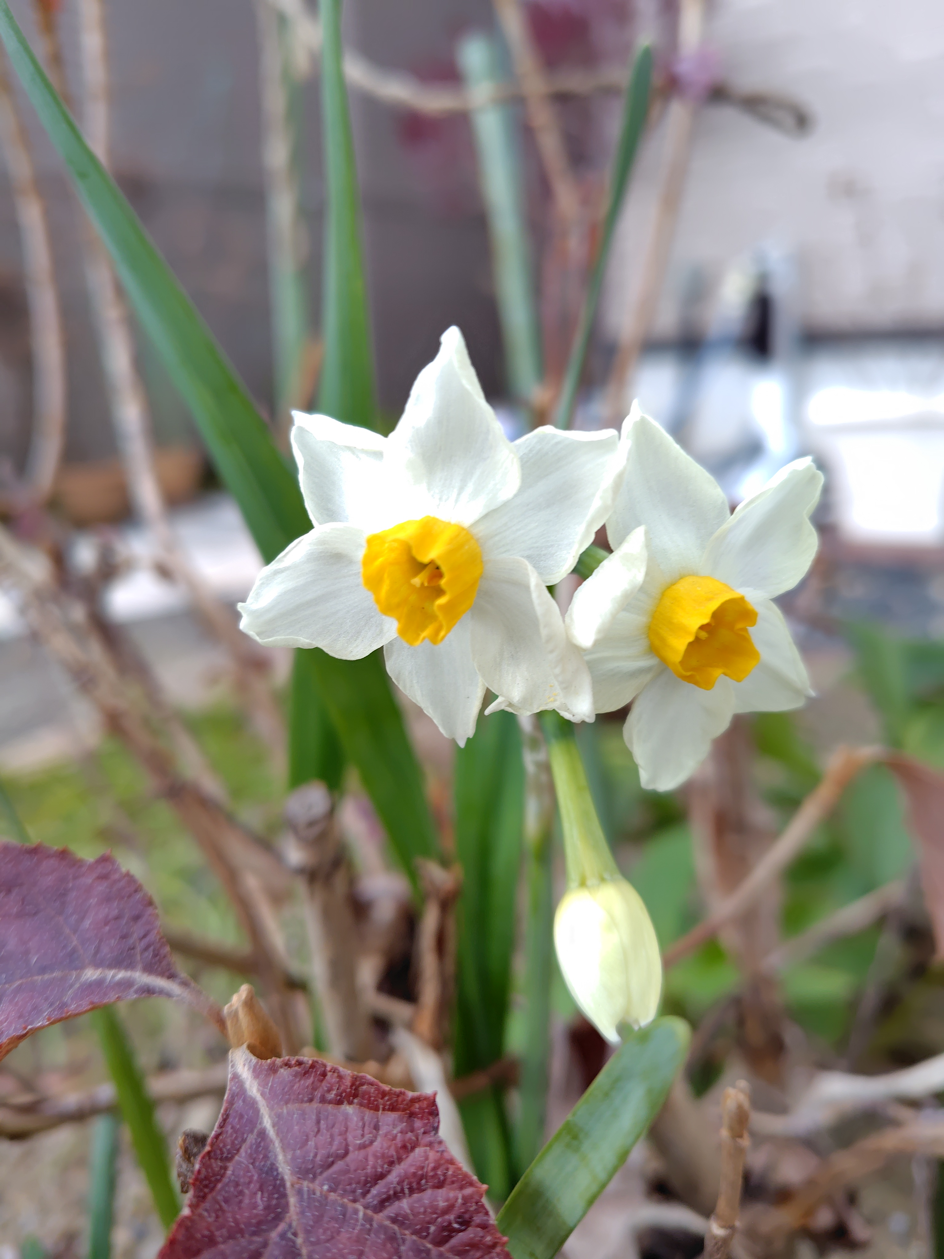冬の愛車ケアはお任せ手洗い洗車キャンペーン開催中🌼安全運転の秘訣も紹介