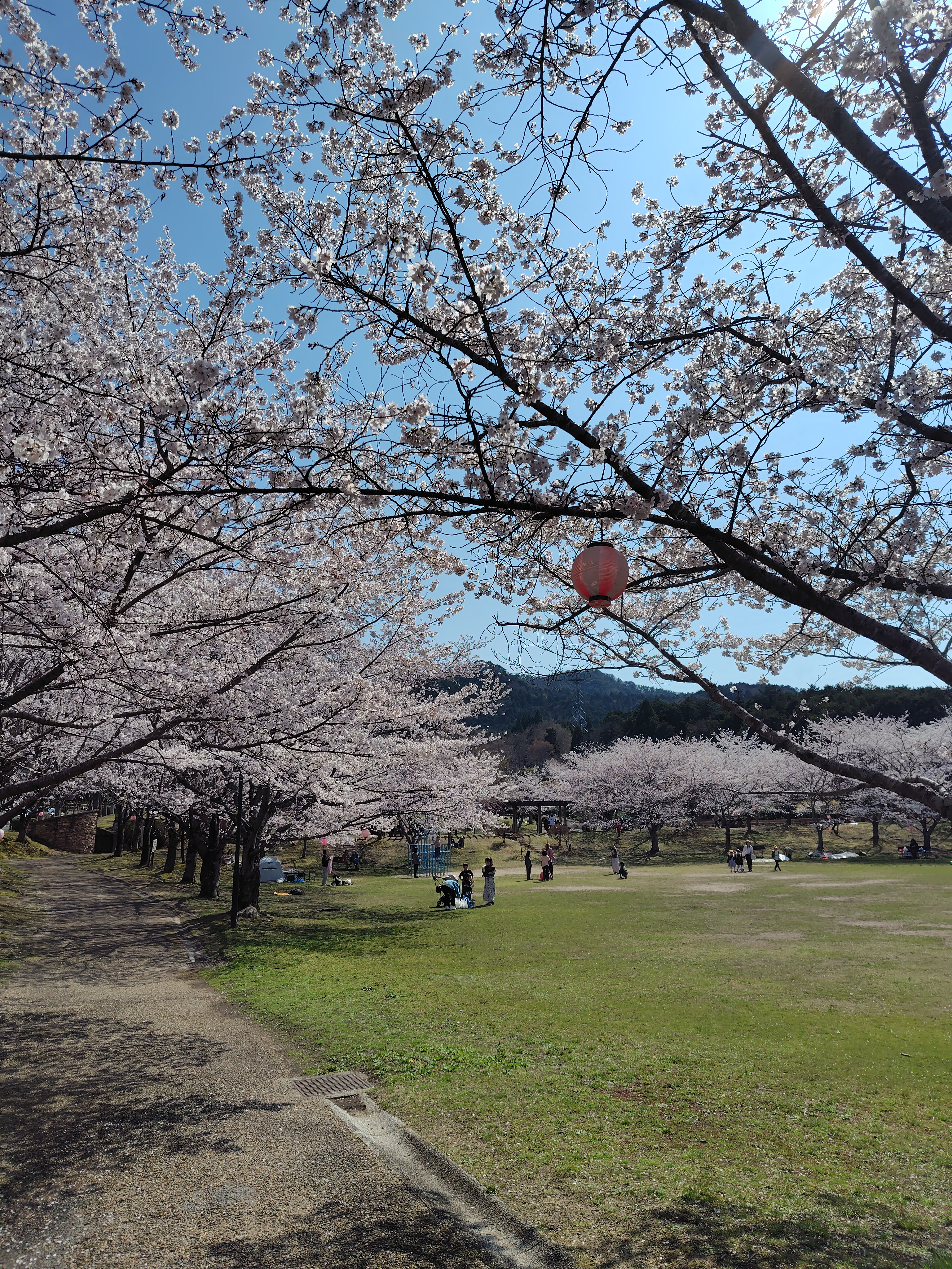 春のお出かけ前に愛車ピカピカ手洗い洗車キャンペーン開催中🚗