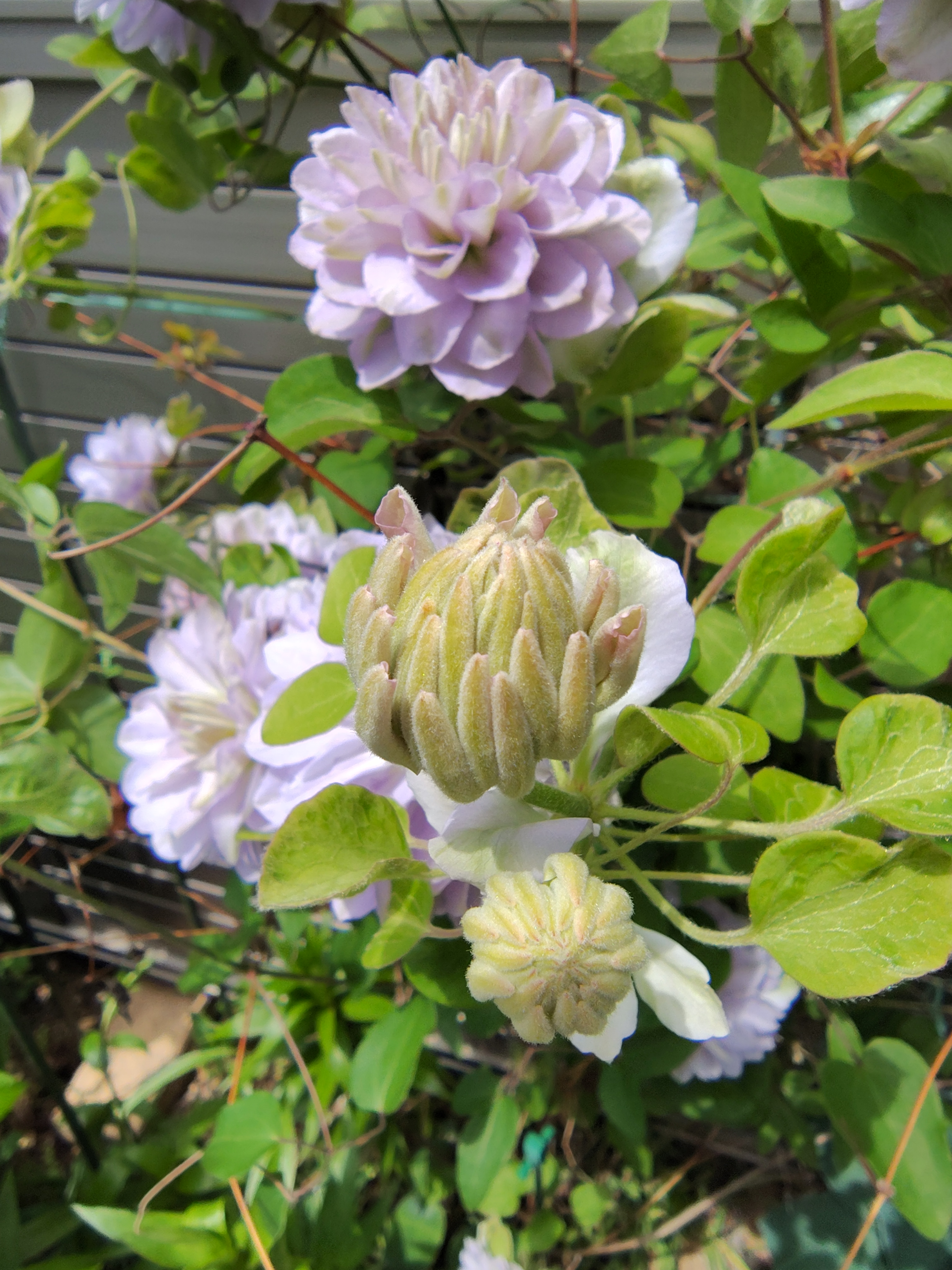 春の安心ドライブ応援！栗東TSの手洗い洗車＆点検キャンペーン⛽️