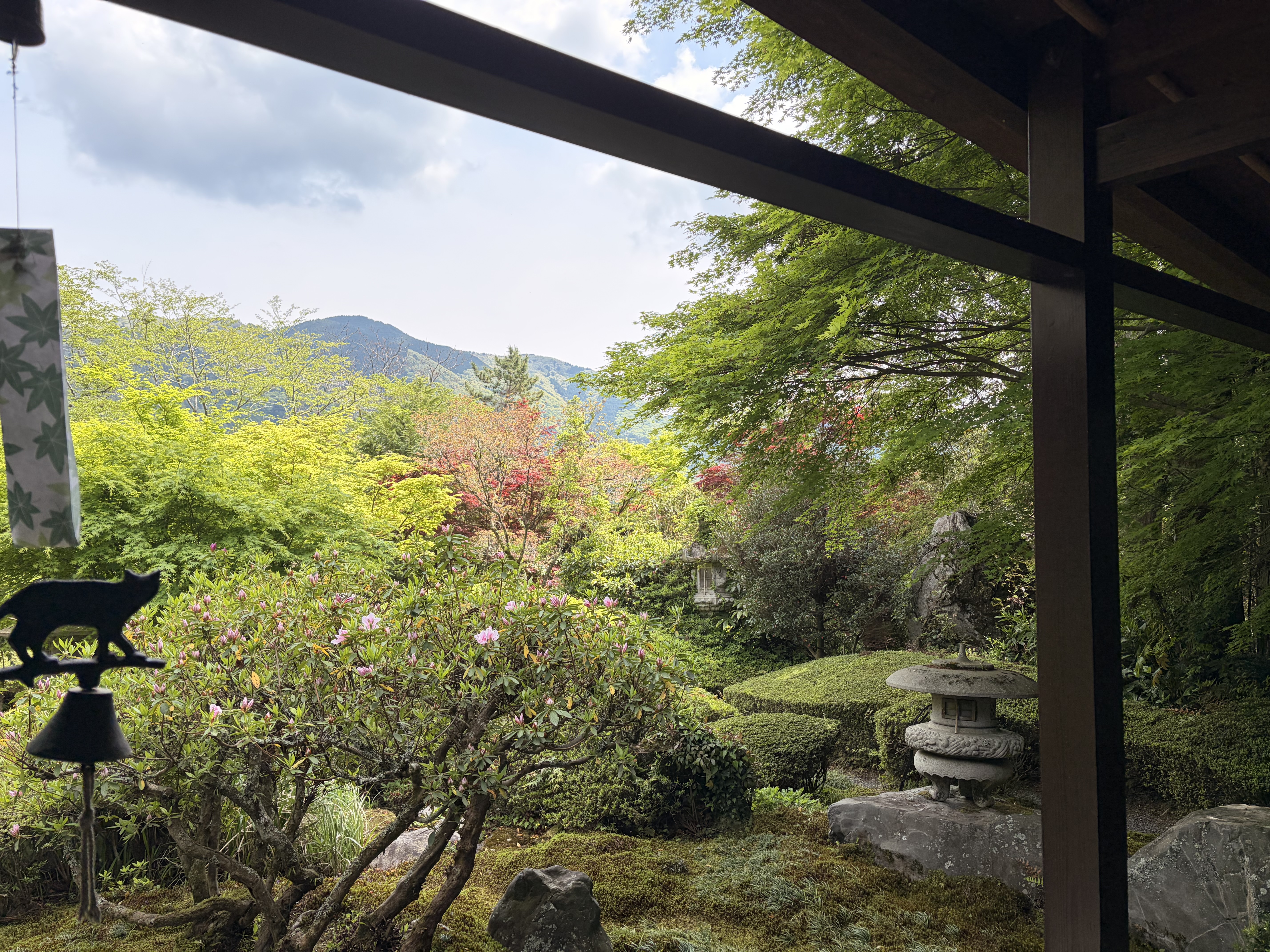 有名な庭園🌲