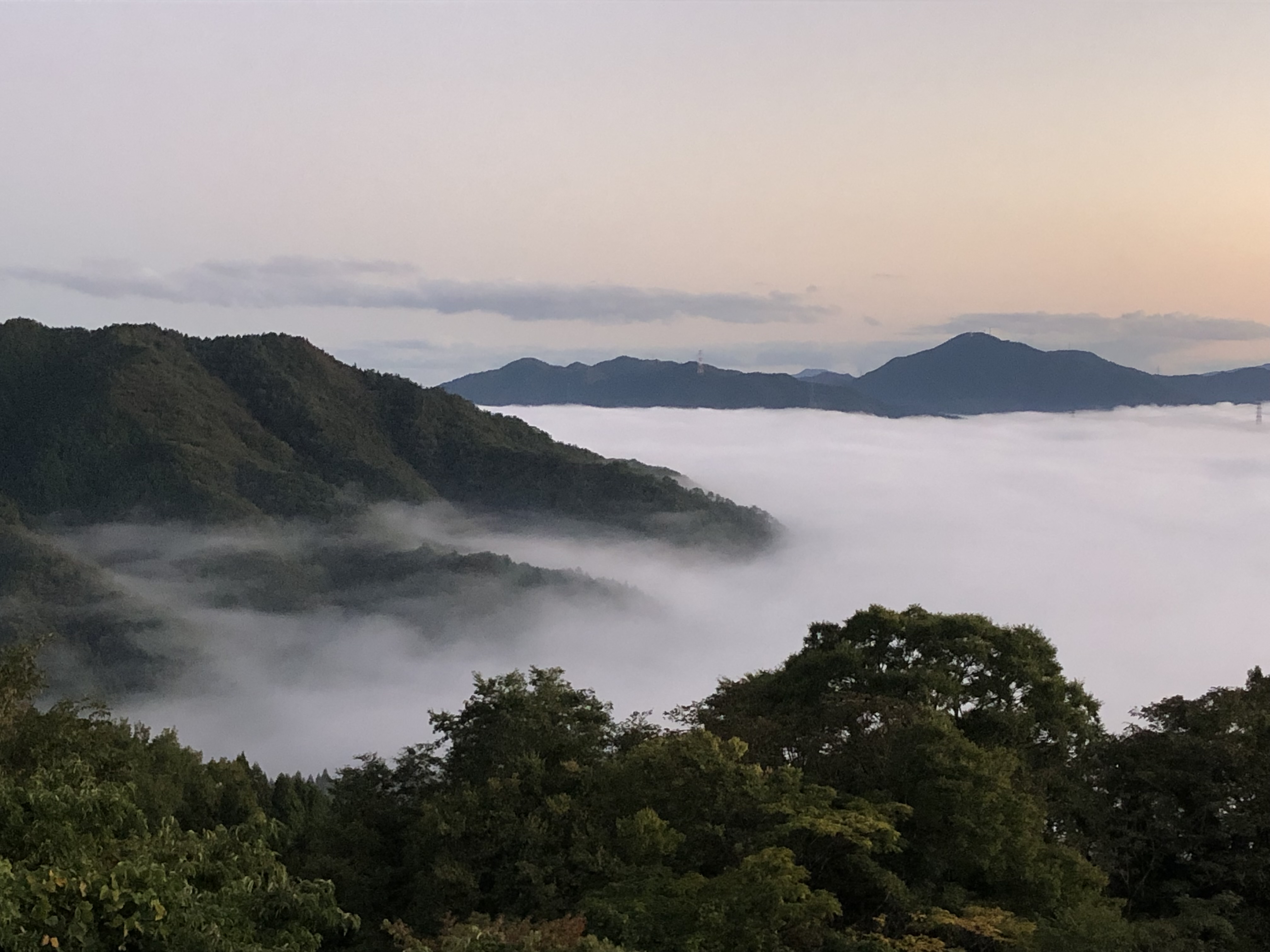 狙って見るのは難しい景色