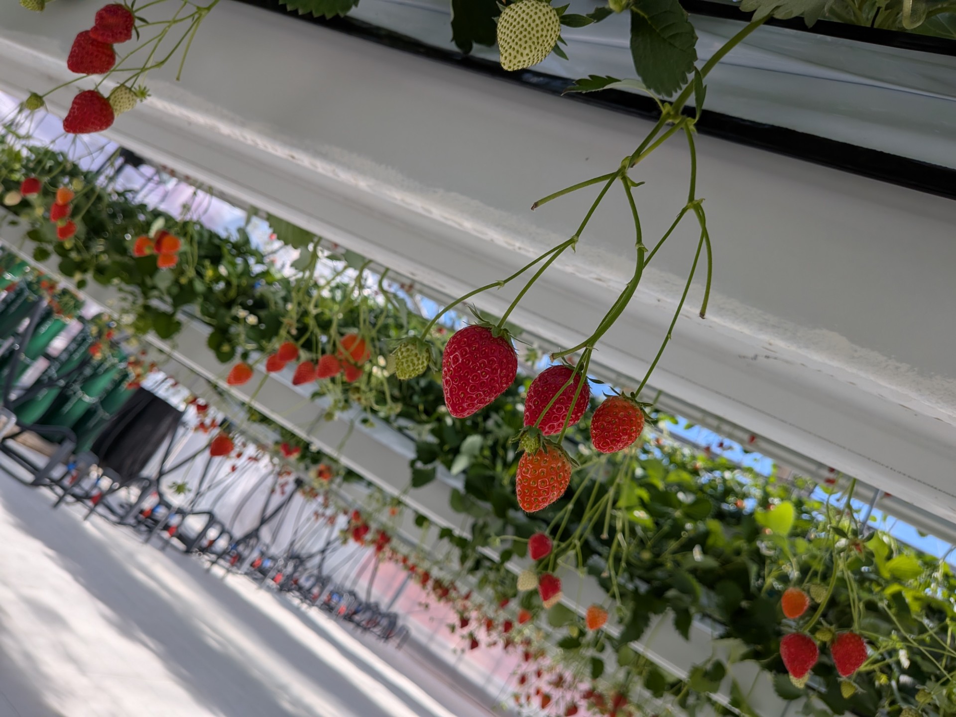 春の寒暖差に注意！東出雲インターTSで安心のタイヤ交換と点検🚗