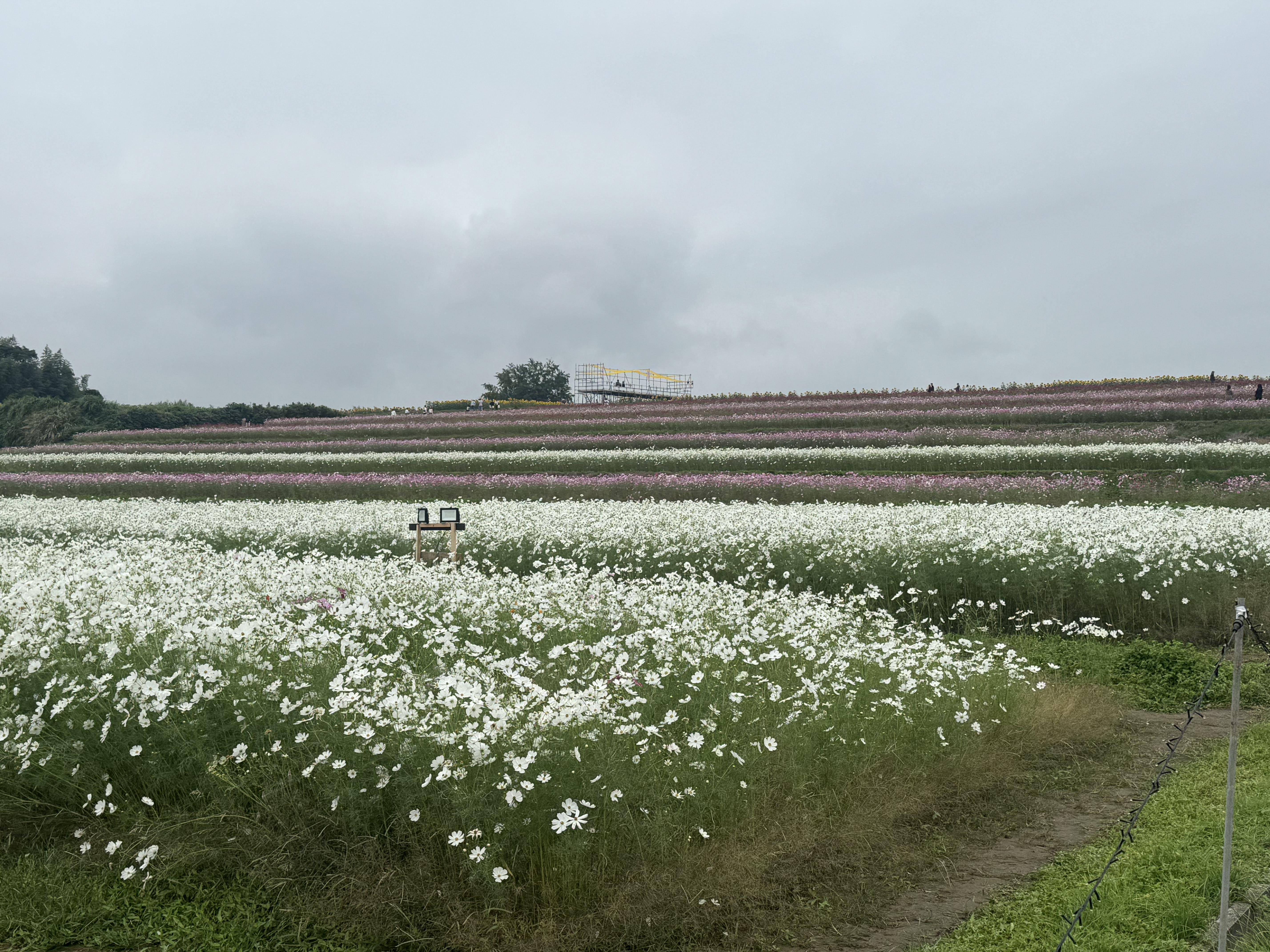 冬のタイヤ交換と車メンテナンスで安心ドライブをサポート🚗❄️
