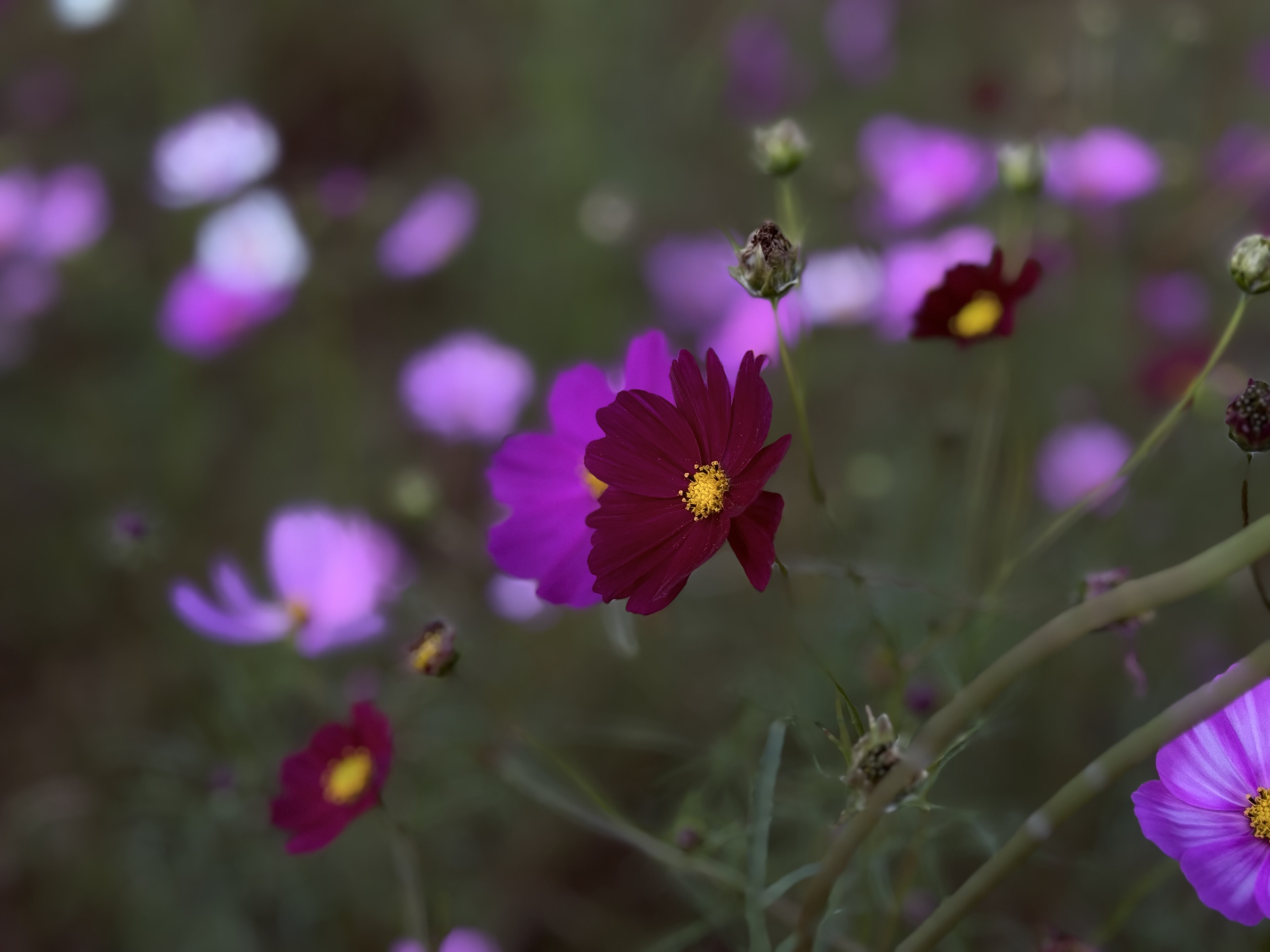 冬支度に便利なオールシーズンタイヤと秋のカーケア情報🚗