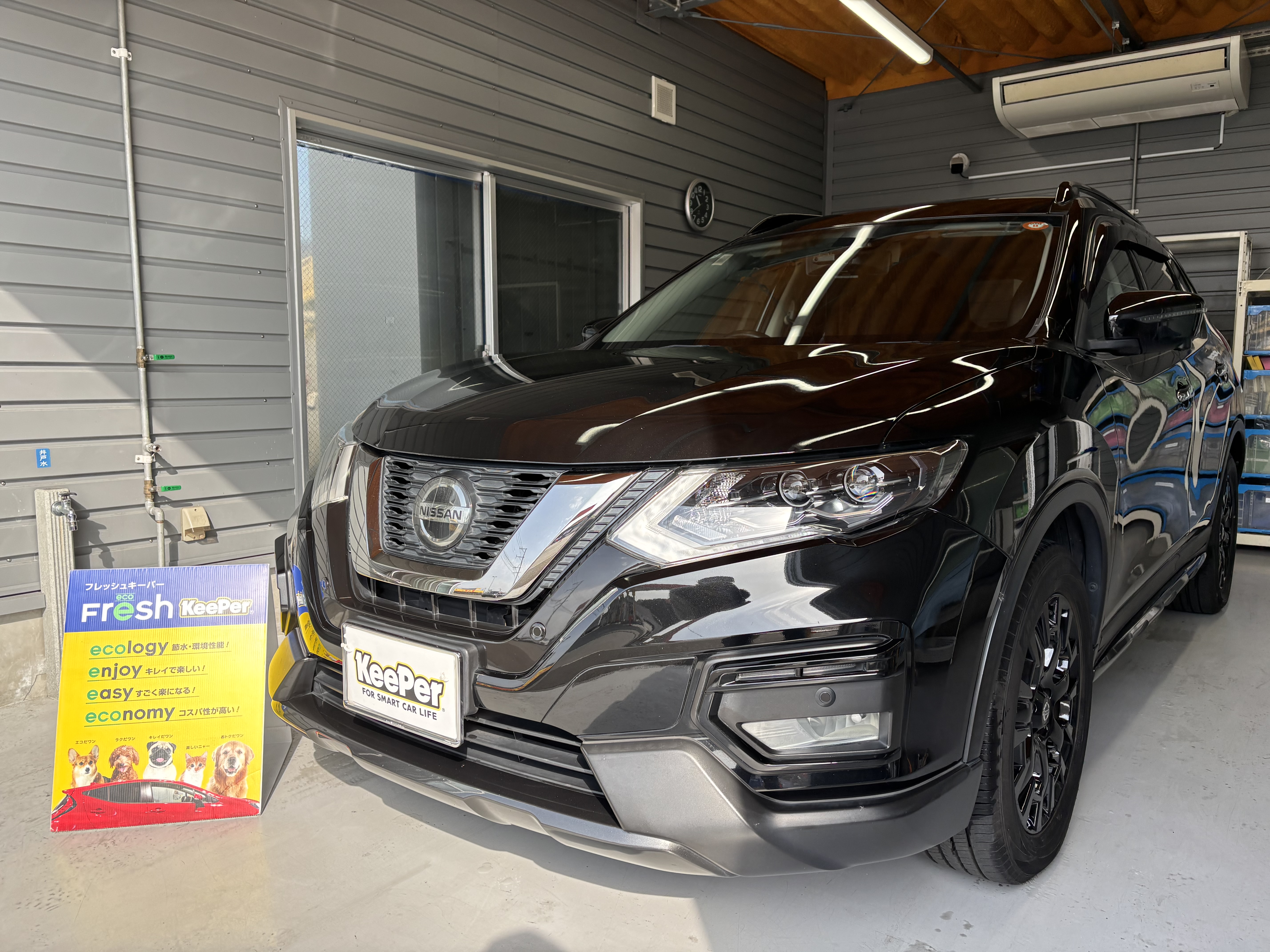 春の花粉対策におすすめ車コーティングとメンテナンス🌸