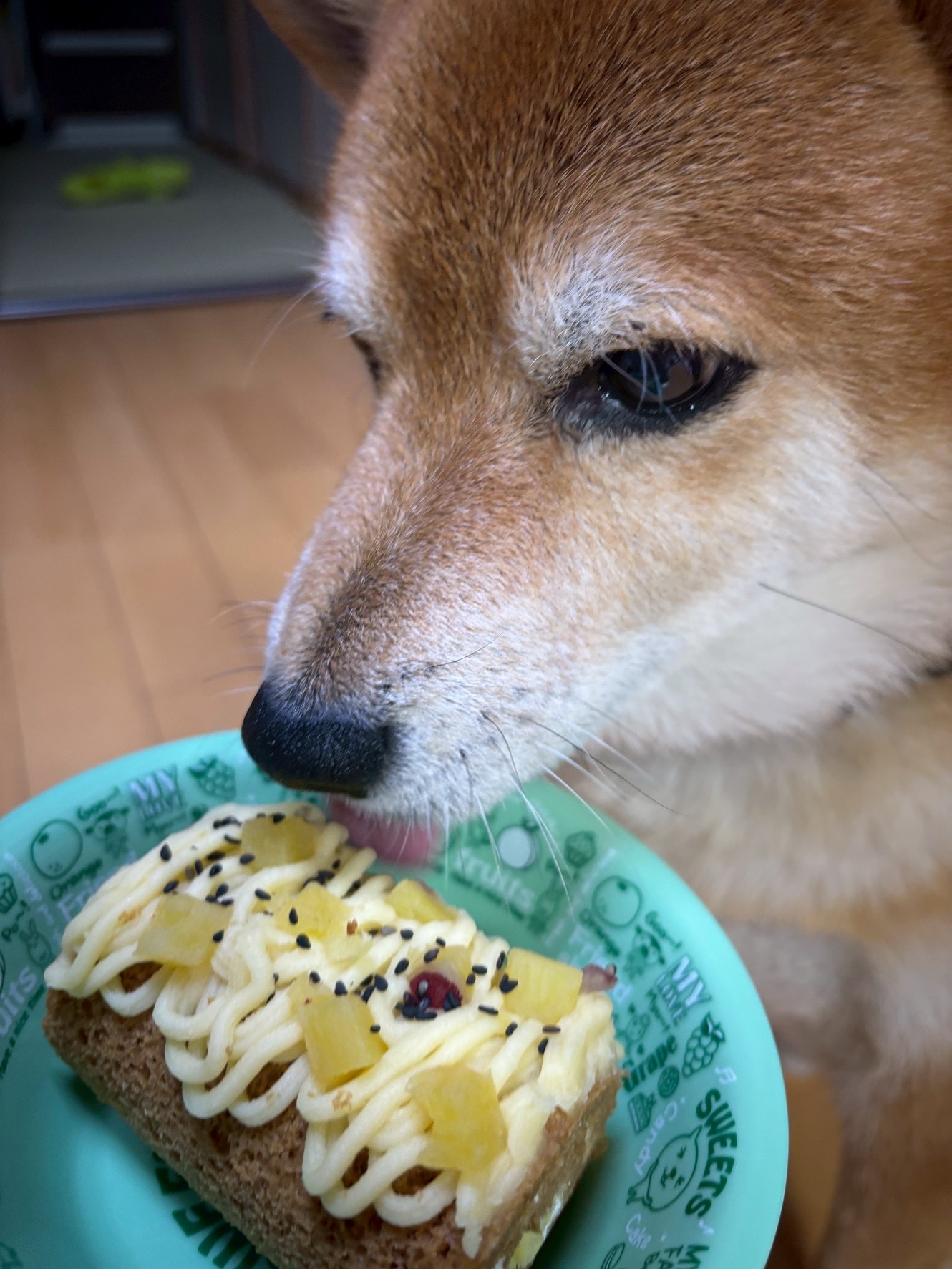 クリスマス前に愛車メンテ！洗車＆コーティングで冬支度を🎄