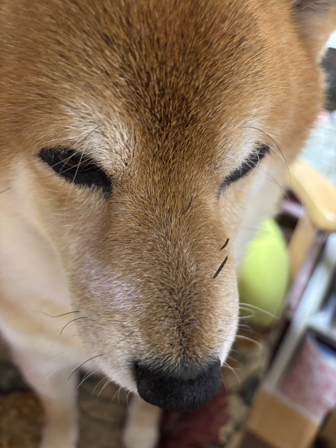 冬の愛車ケアはお任せ！洗車行列も話題のDr.Drive遠賀みずまきTS🚗