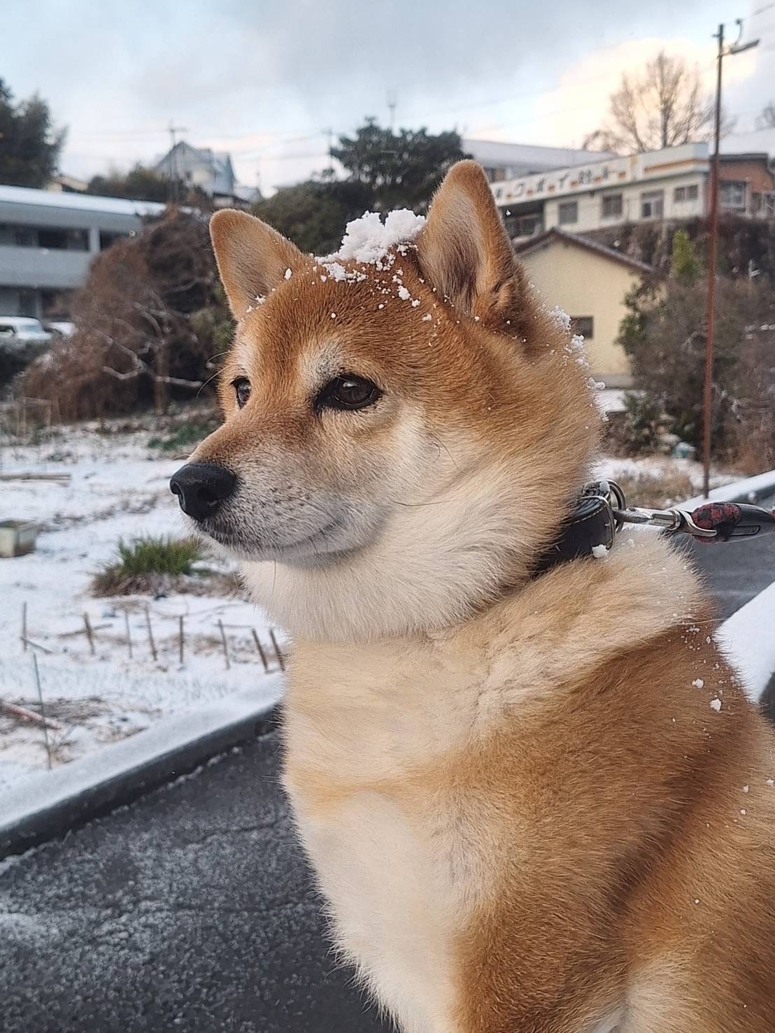 雨の日の車メンテナンスポイントとDr.Drive遠賀みずまきTSのお得情報☔️