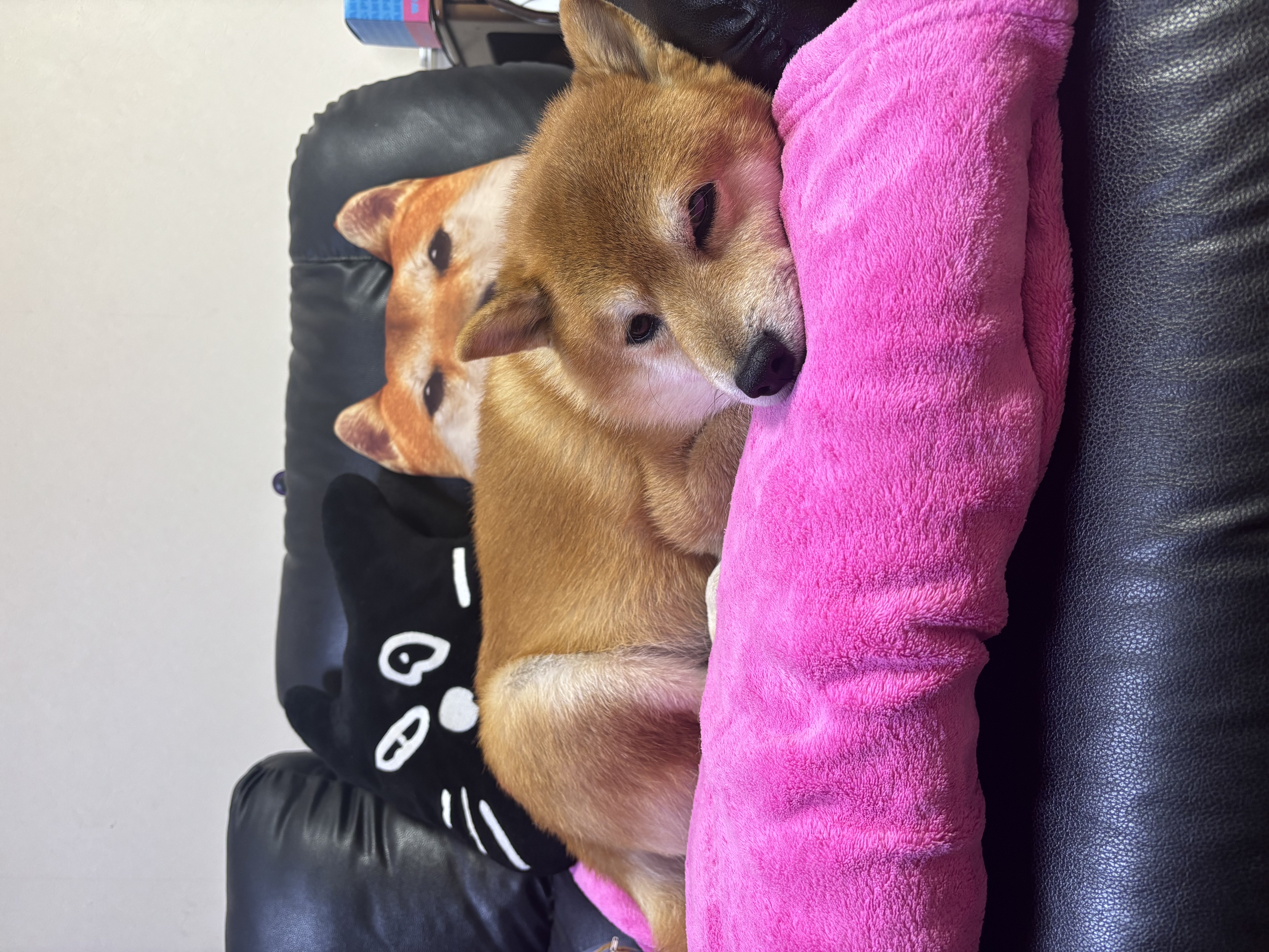 年末年始のドライブ前にチェックしたい冬の愛車メンテナンス🚗