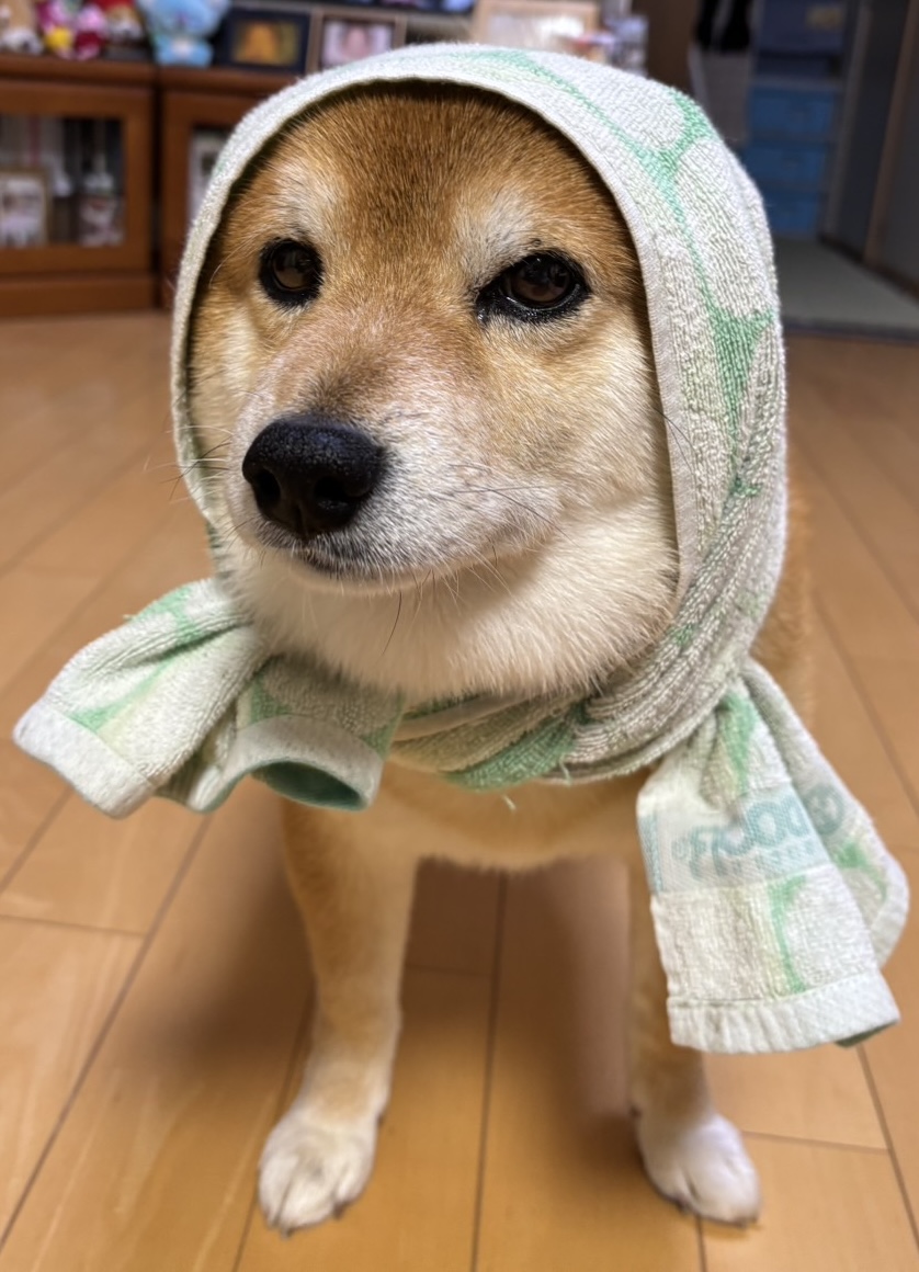 春のドライブ前にチェックしたい愛車の洗車と点検ポイント🚗✨｜Dr.Drive遠賀みずまきTS｜202603102007