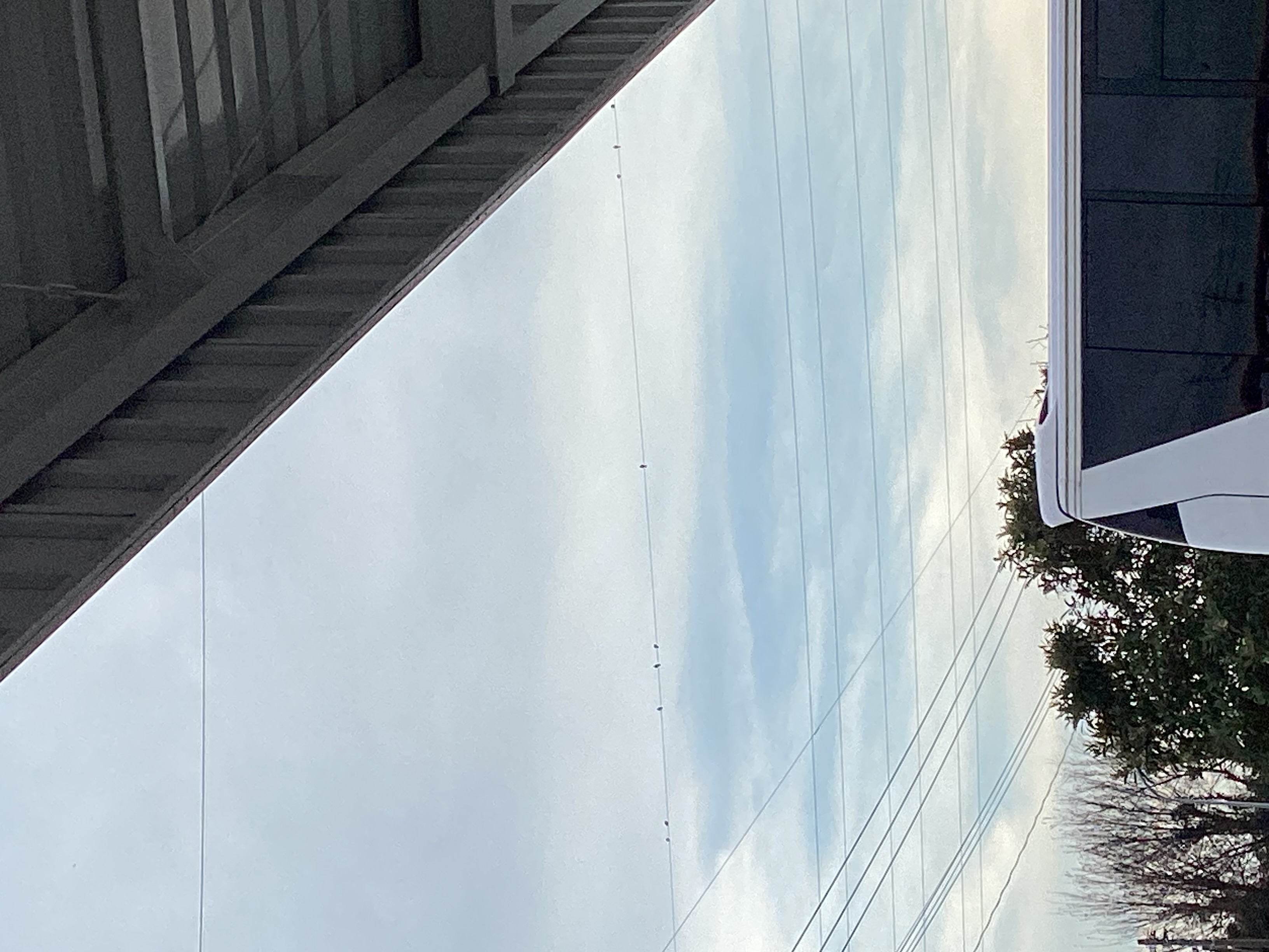 冬の愛車ケアにおすすめコーティングと手洗い洗車メニュー🚗✨