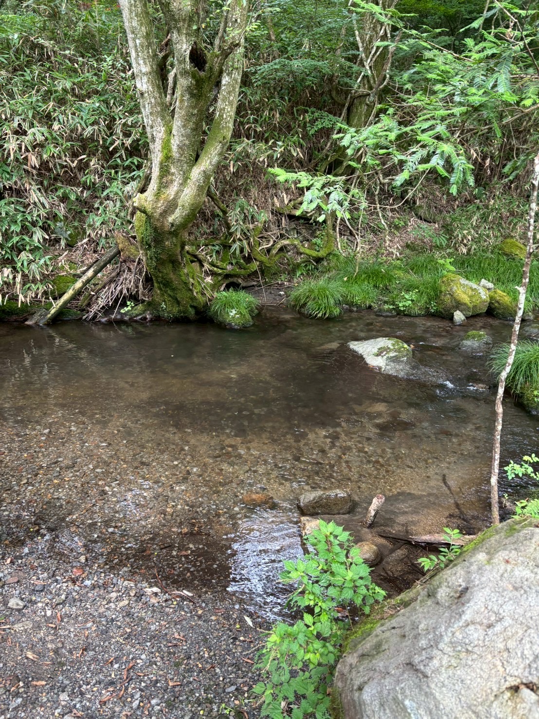 🏕️9月5日🏕️