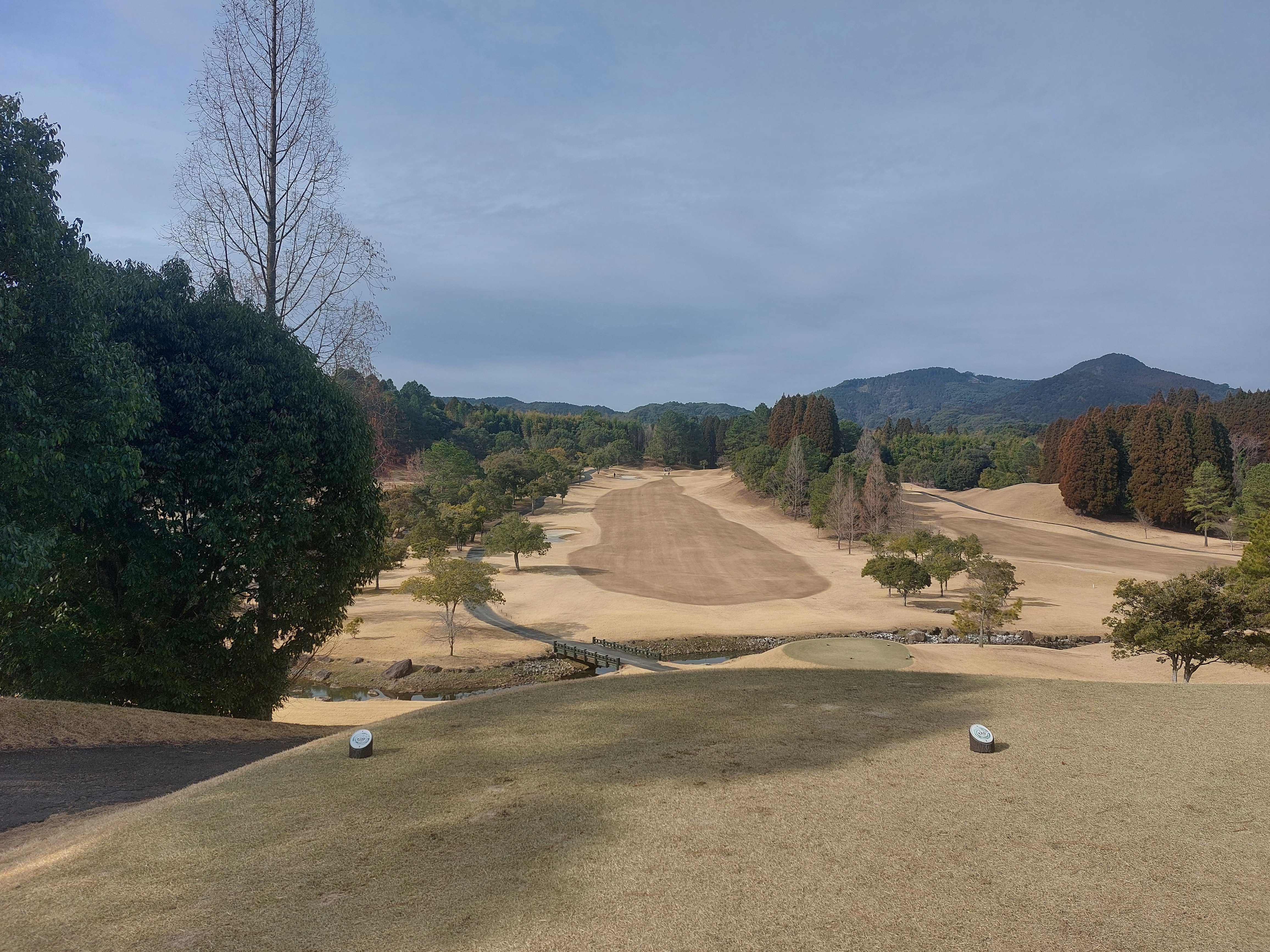 春の花粉対策におすすめ 車内エアコンフィルター点検キャンペーン開催中🌸