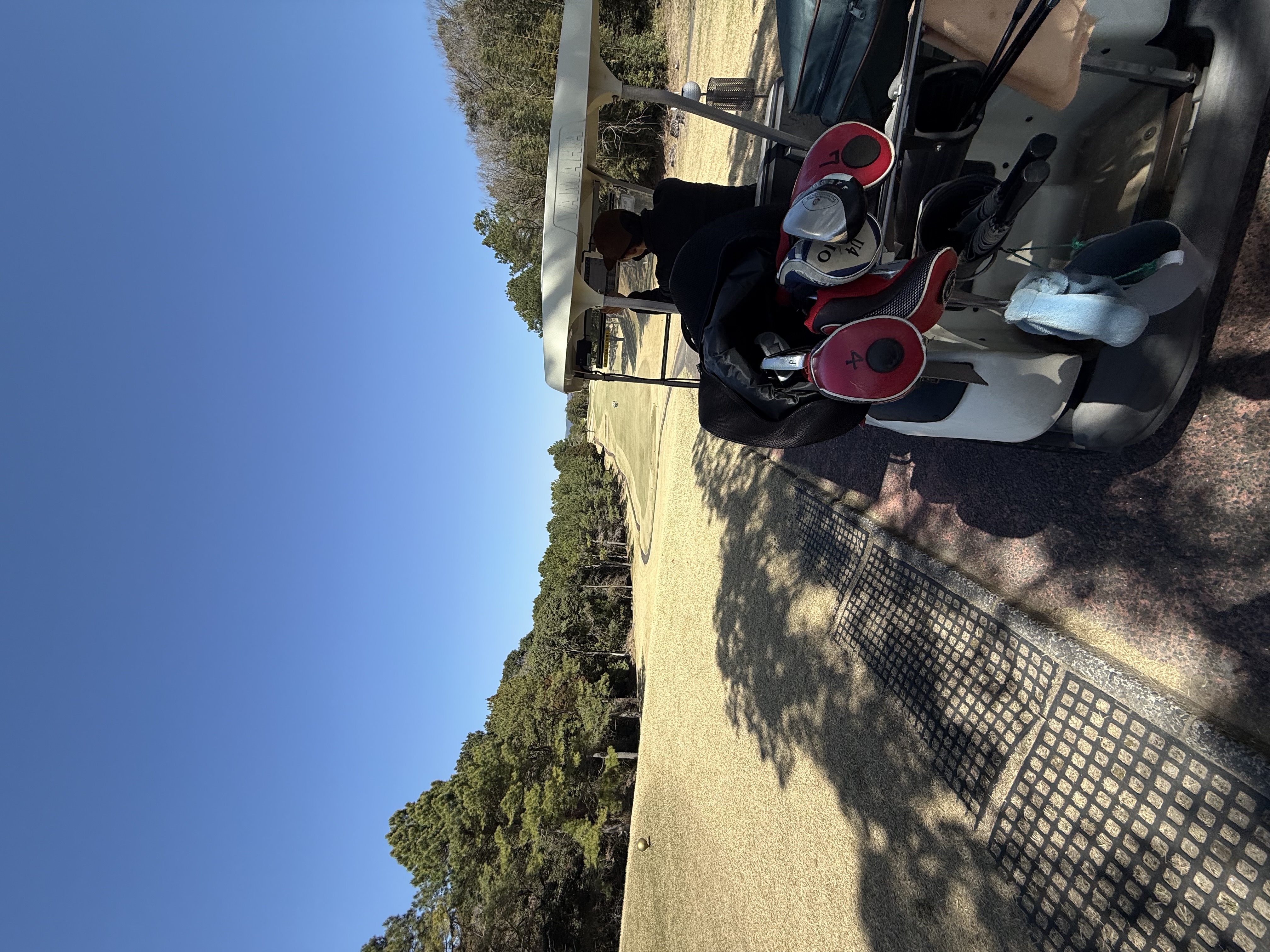 春の花粉対策と洗車のコツ 八代インターTSで快適カーライフを🌸